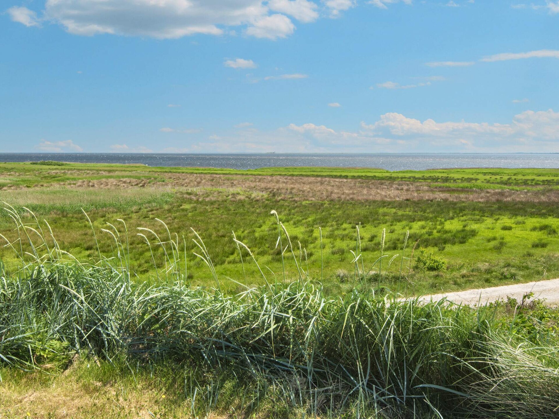 3-persoons vakantiehuis in Hvide Sande met panoramisch fjordzicht - foto 12