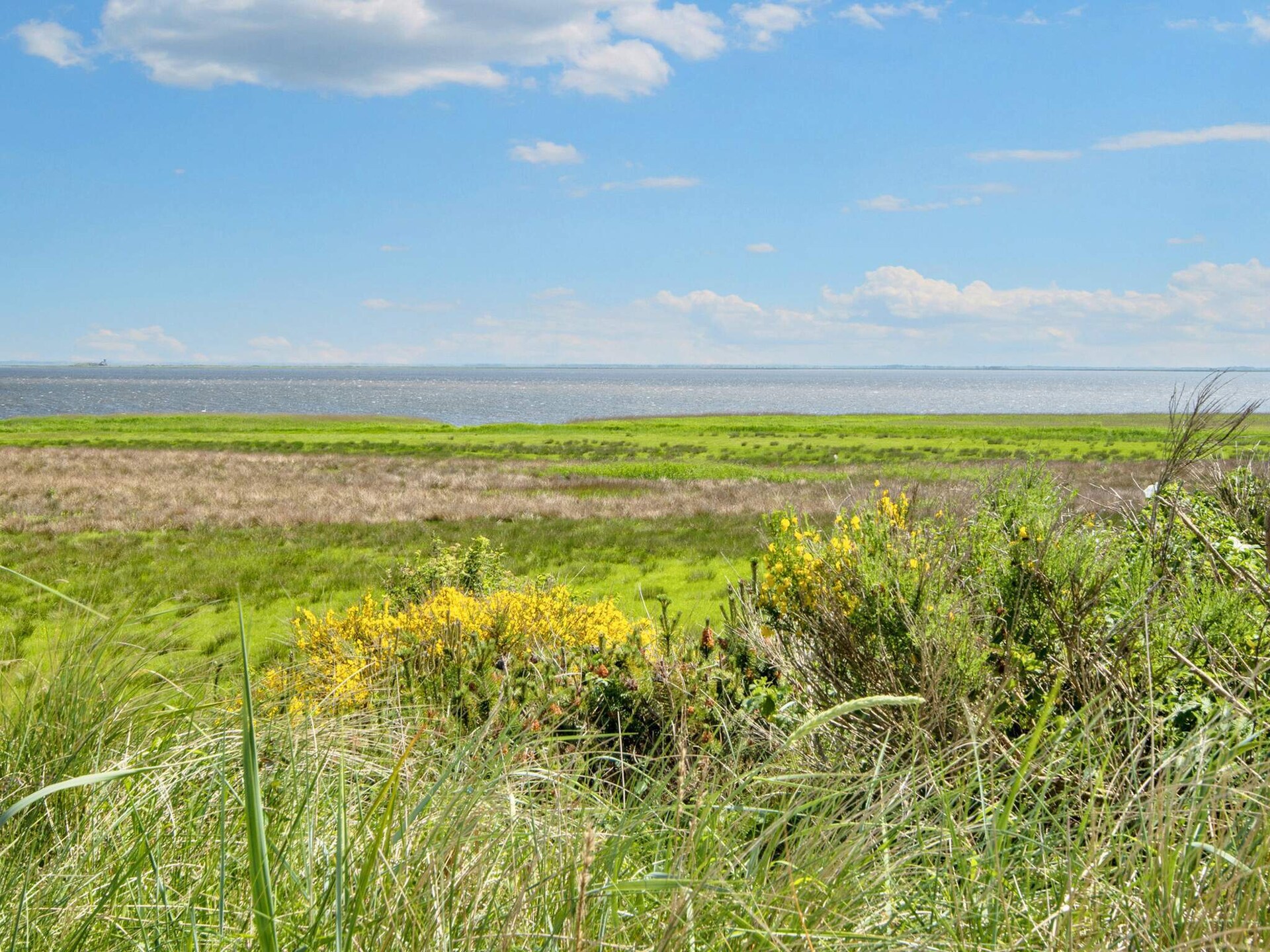 3-persoons vakantiehuis in Hvide Sande met panoramisch fjordzicht - foto 13
