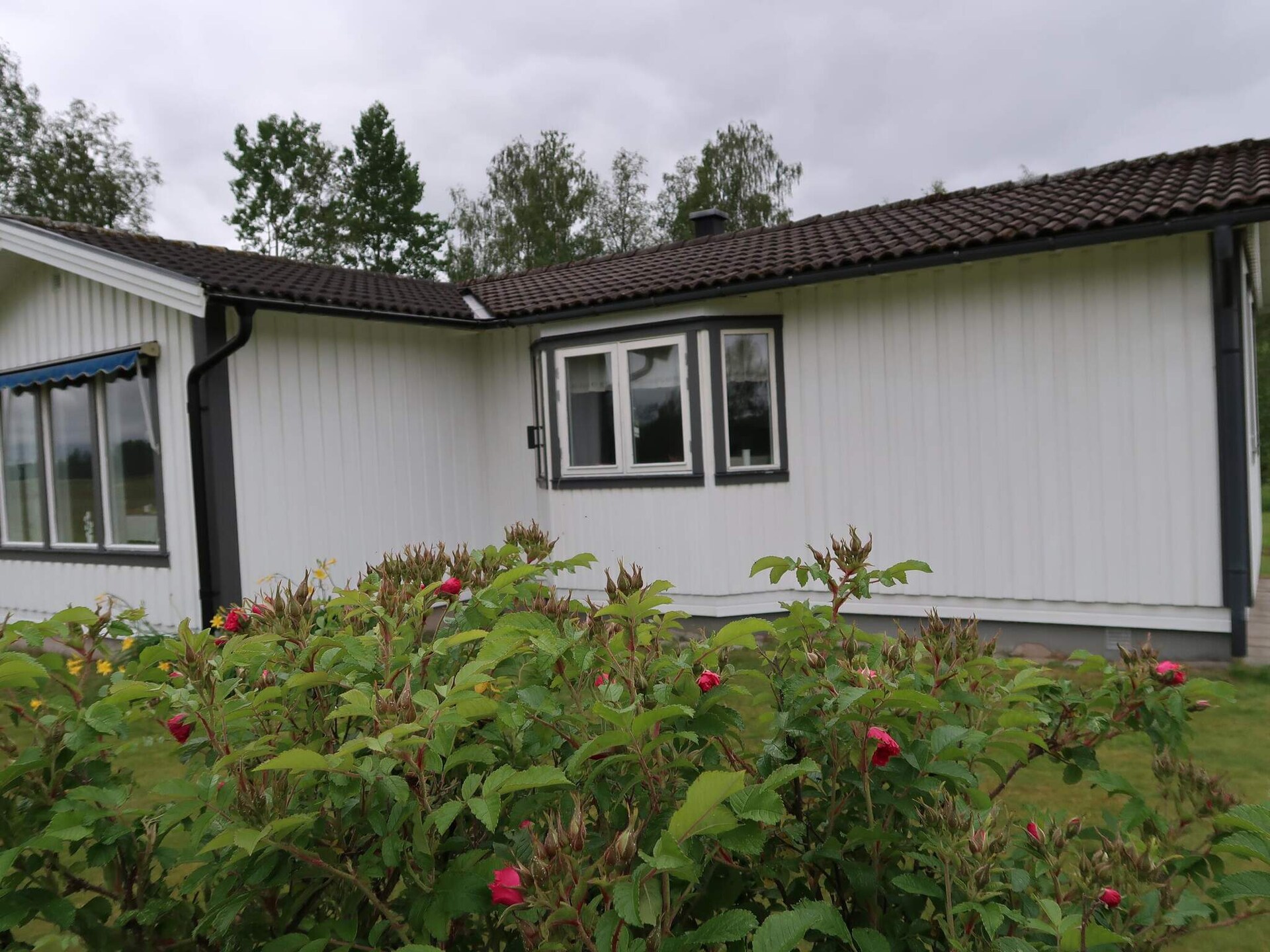 Vrijstaand vakantiehuis aan de golfbaan bij Sunne, Värmland - foto 2