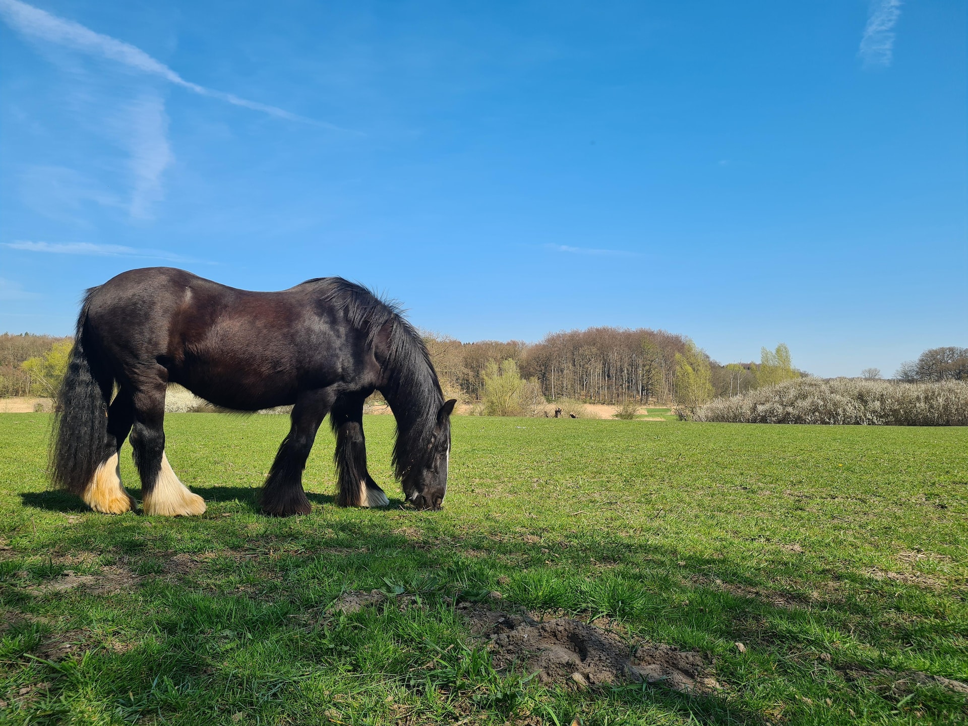 Licht appartement in rietgedekte boerderij nabij Wismar - foto 25