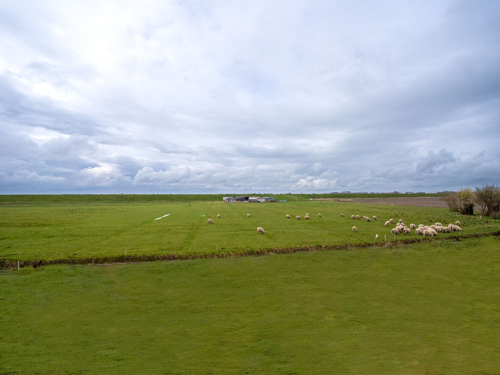 Licht vakantiehuis voor 6 pers. aan de Eider bij Karolinenkoog - foto 23
