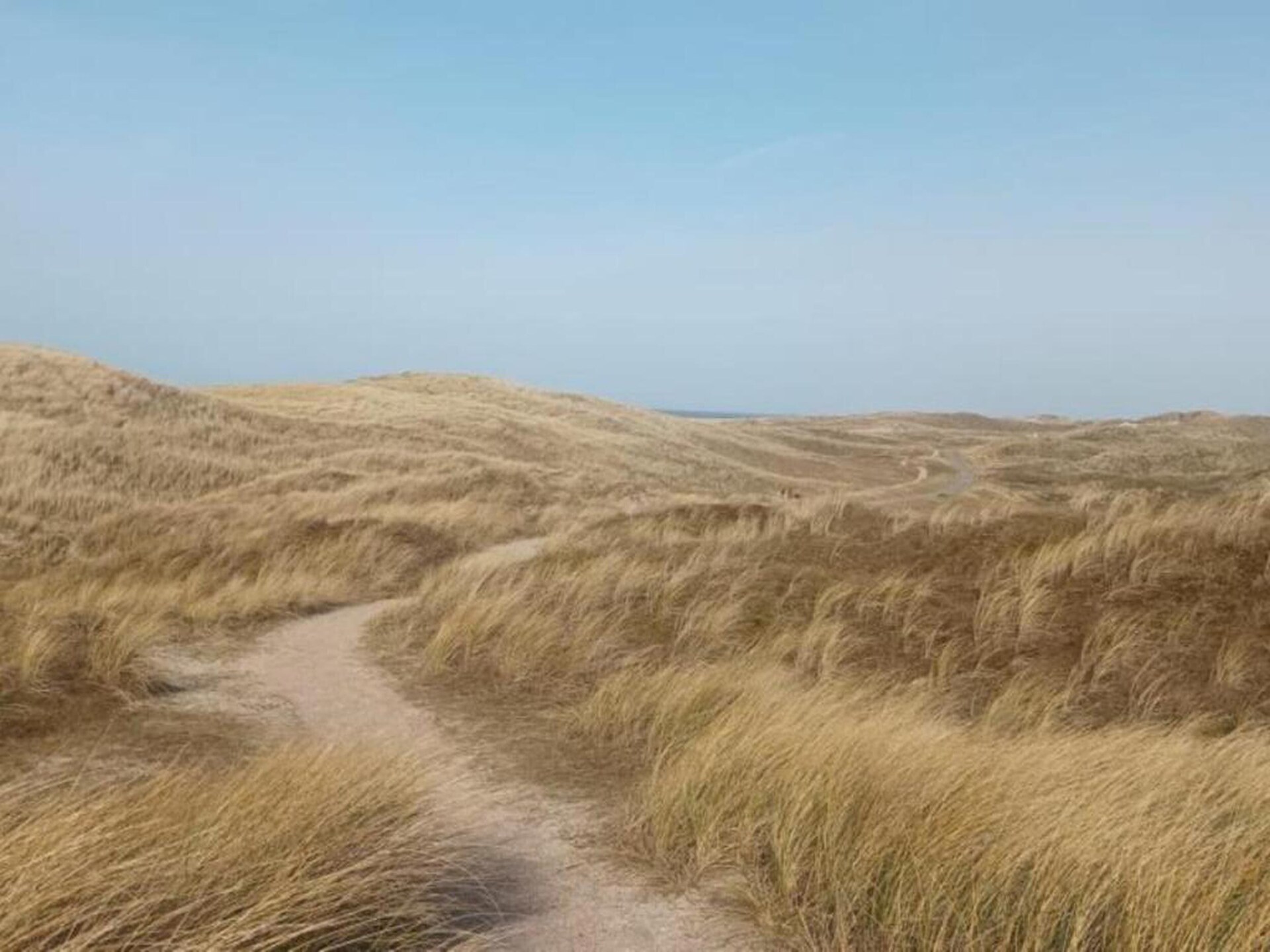 Luxe strandvilla met sauna op 500m van zee in Julianadorp - foto 36
