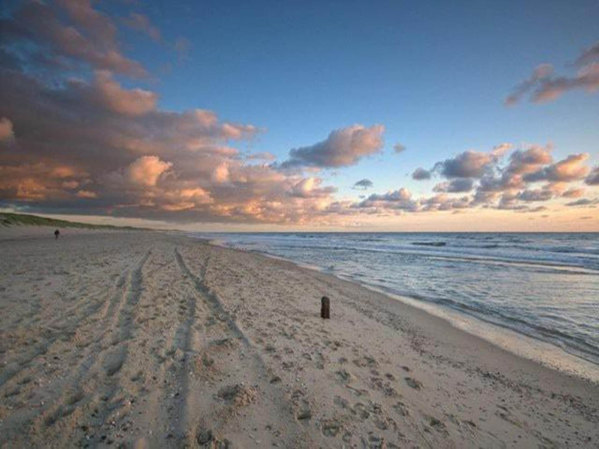 Villa met rieten dak op 500m van strand Julianadorp aan Zee - foto 19