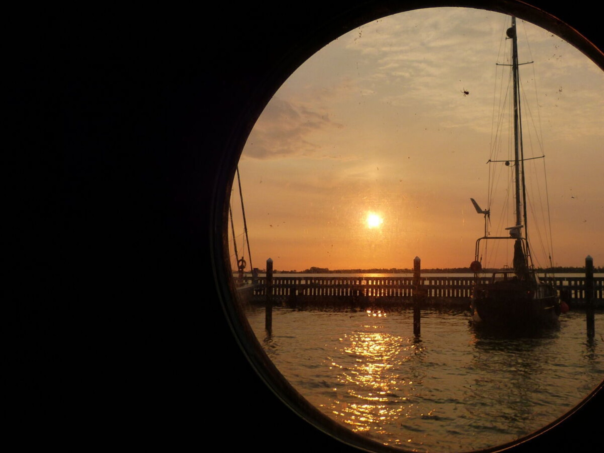 Woonboot Harmonie in Stralsund: Scandinavisch design op het water - foto 19