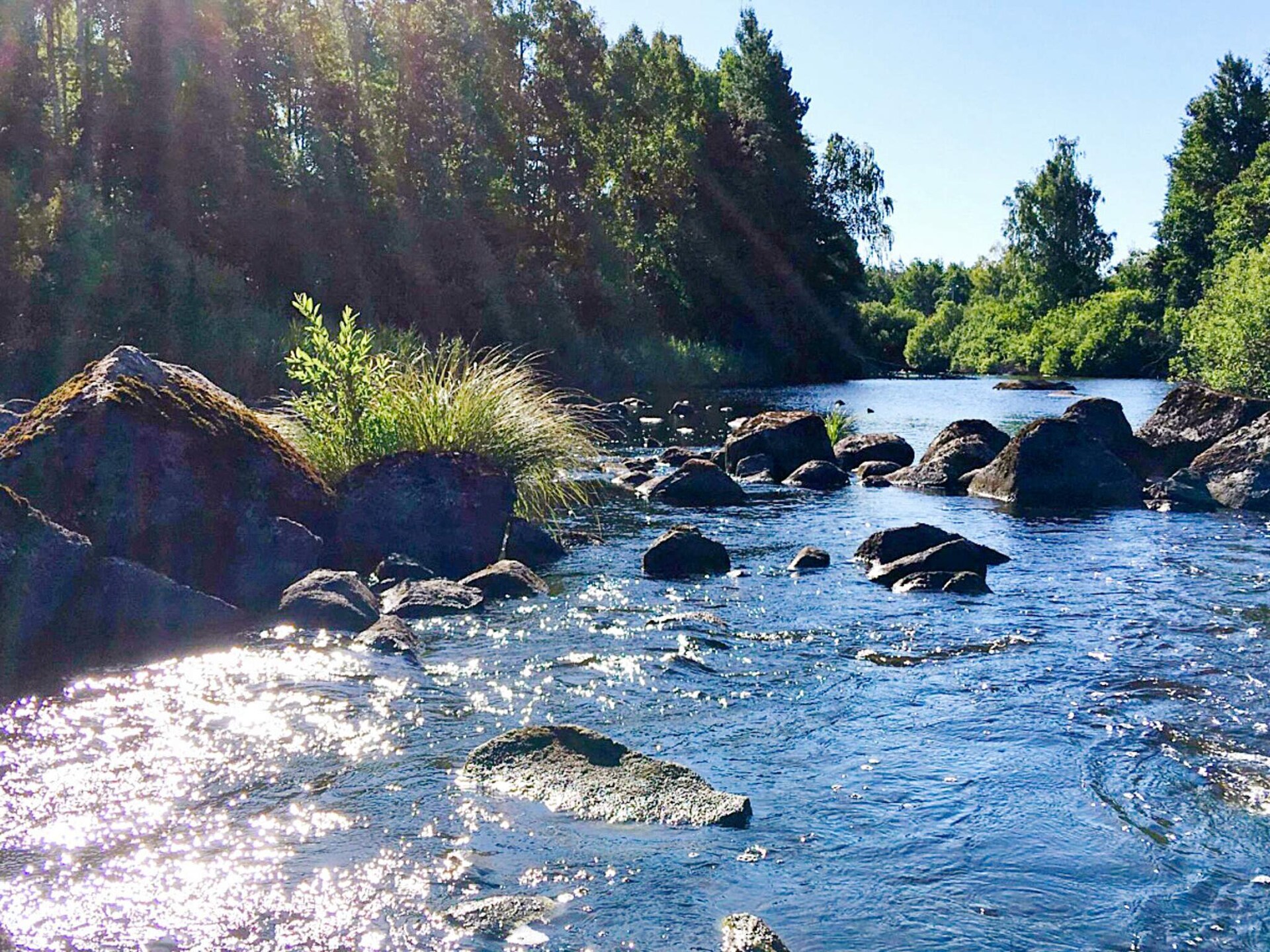 4-persoons vakantiehuis aan het meer in Rockneby - foto 14