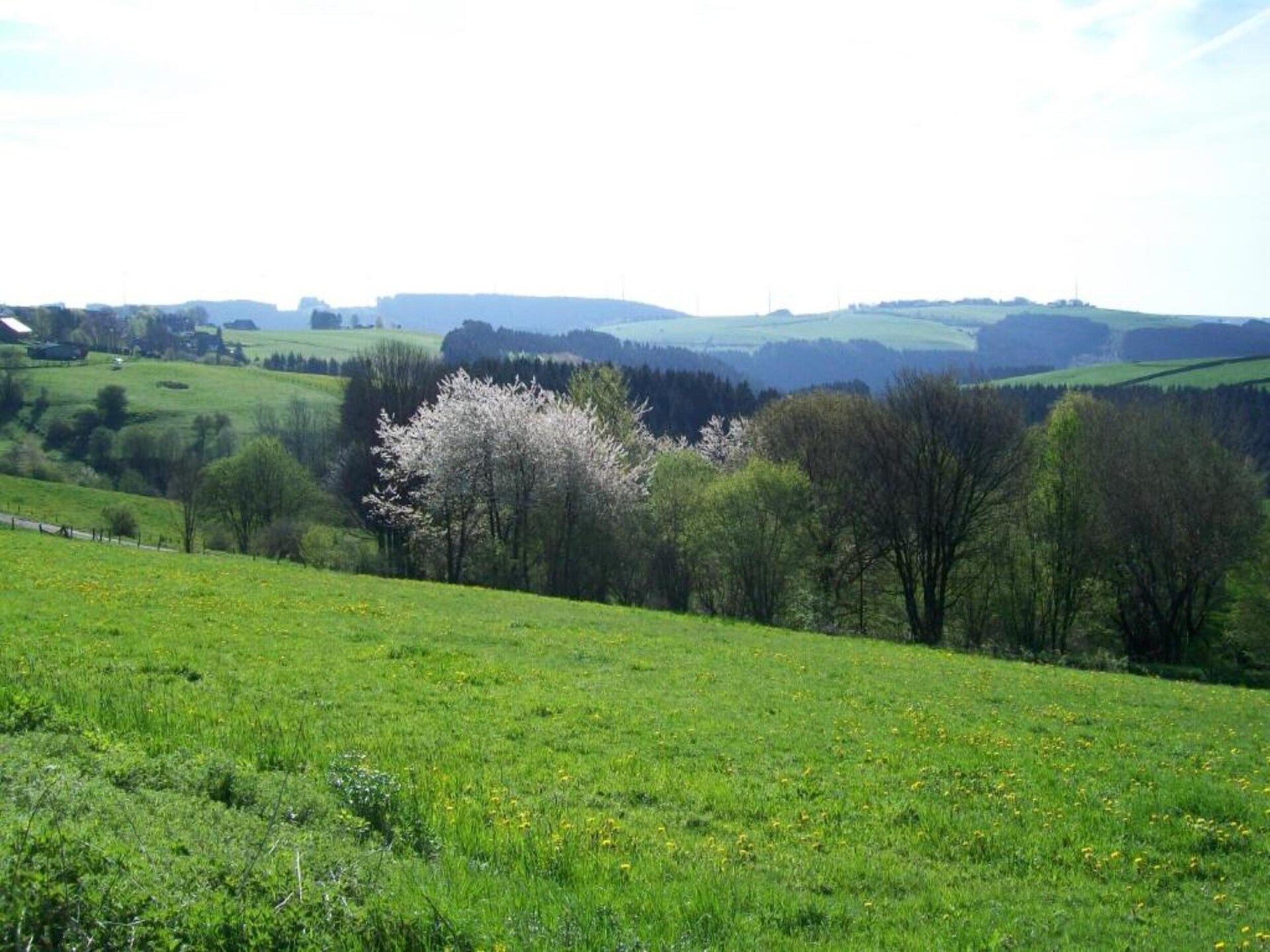 Knus appartement voor 2 in Hellenthal met tuin, BBQ & WiFi - foto 15
