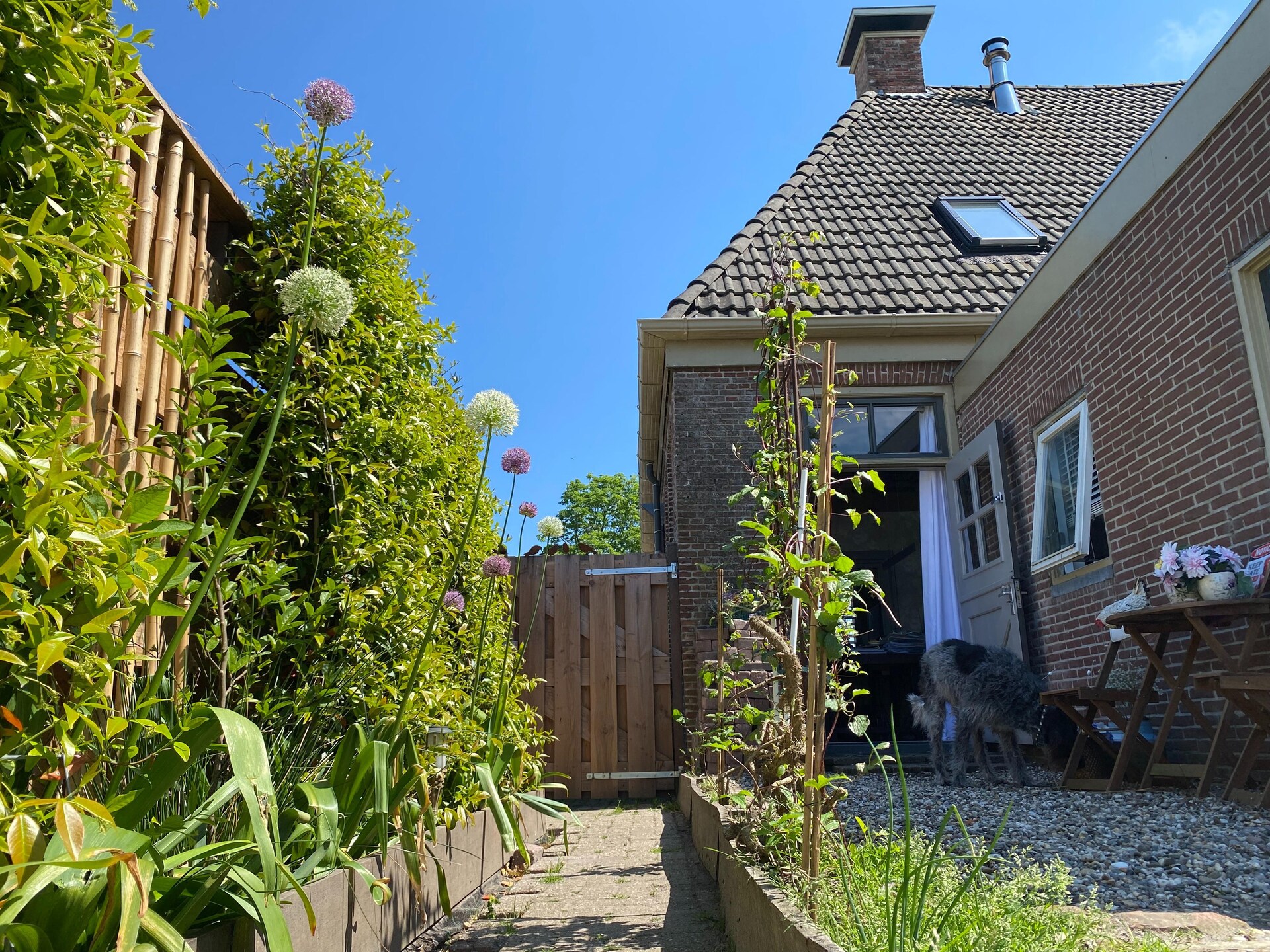 Groepsaccommodatie Inn Friesland: ruim vakantiehuis voor 17 personen met 4 omheinde tuinen - foto 27