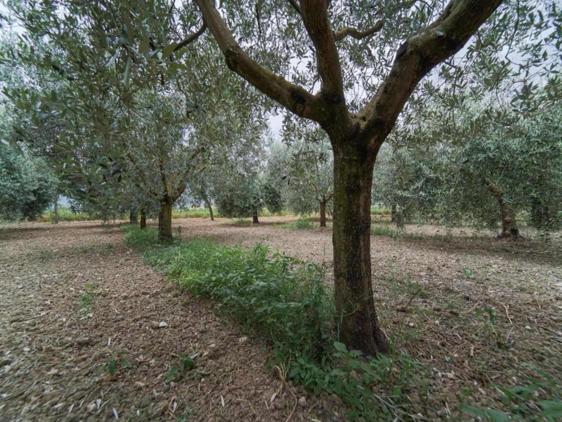 Elegant landhuis bij Assisi met tuin en terras voor 4 personen - foto 40