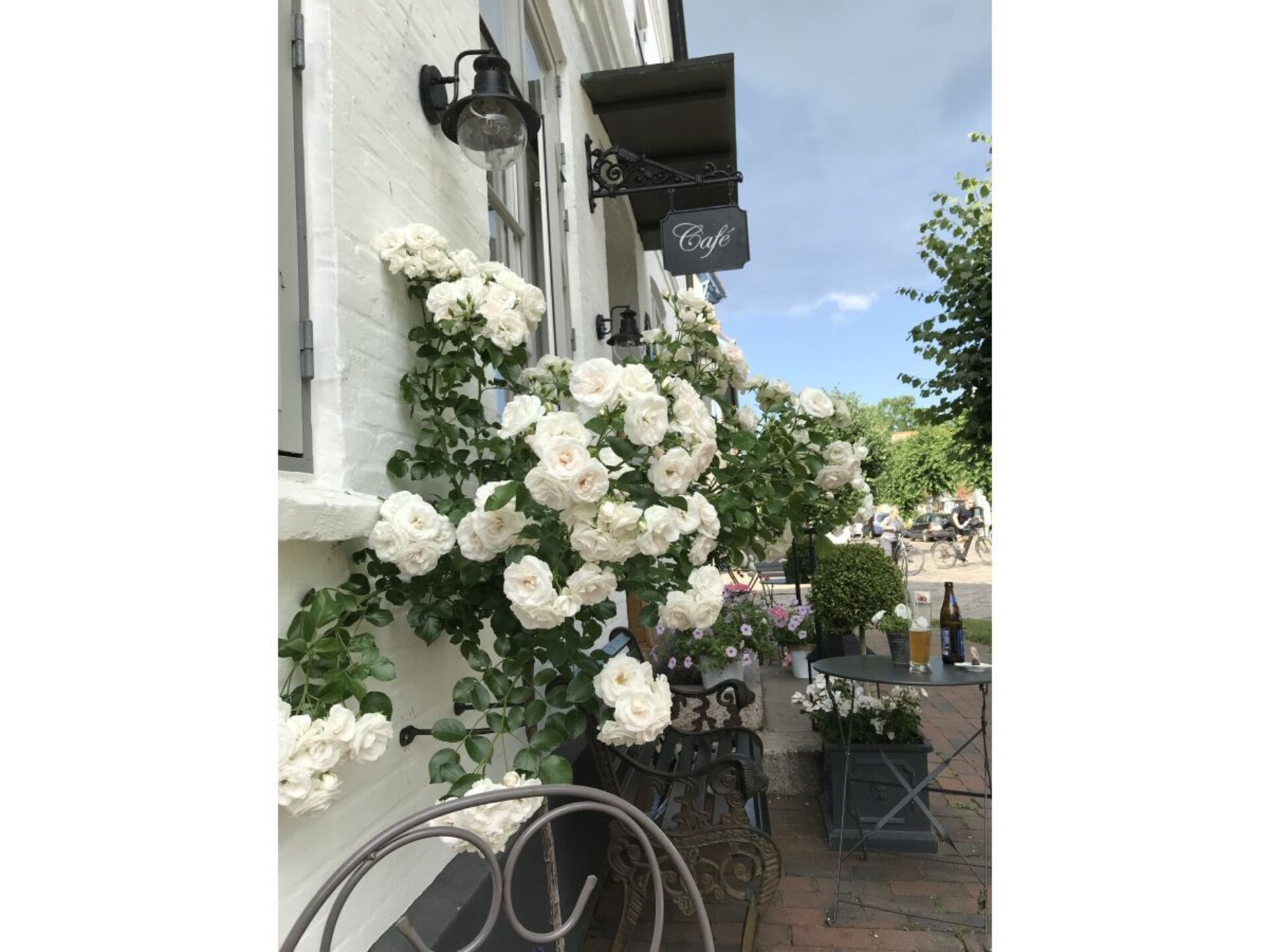 Romantisch vakantiehuis aan de Schlei in historisch Arnis - foto 32