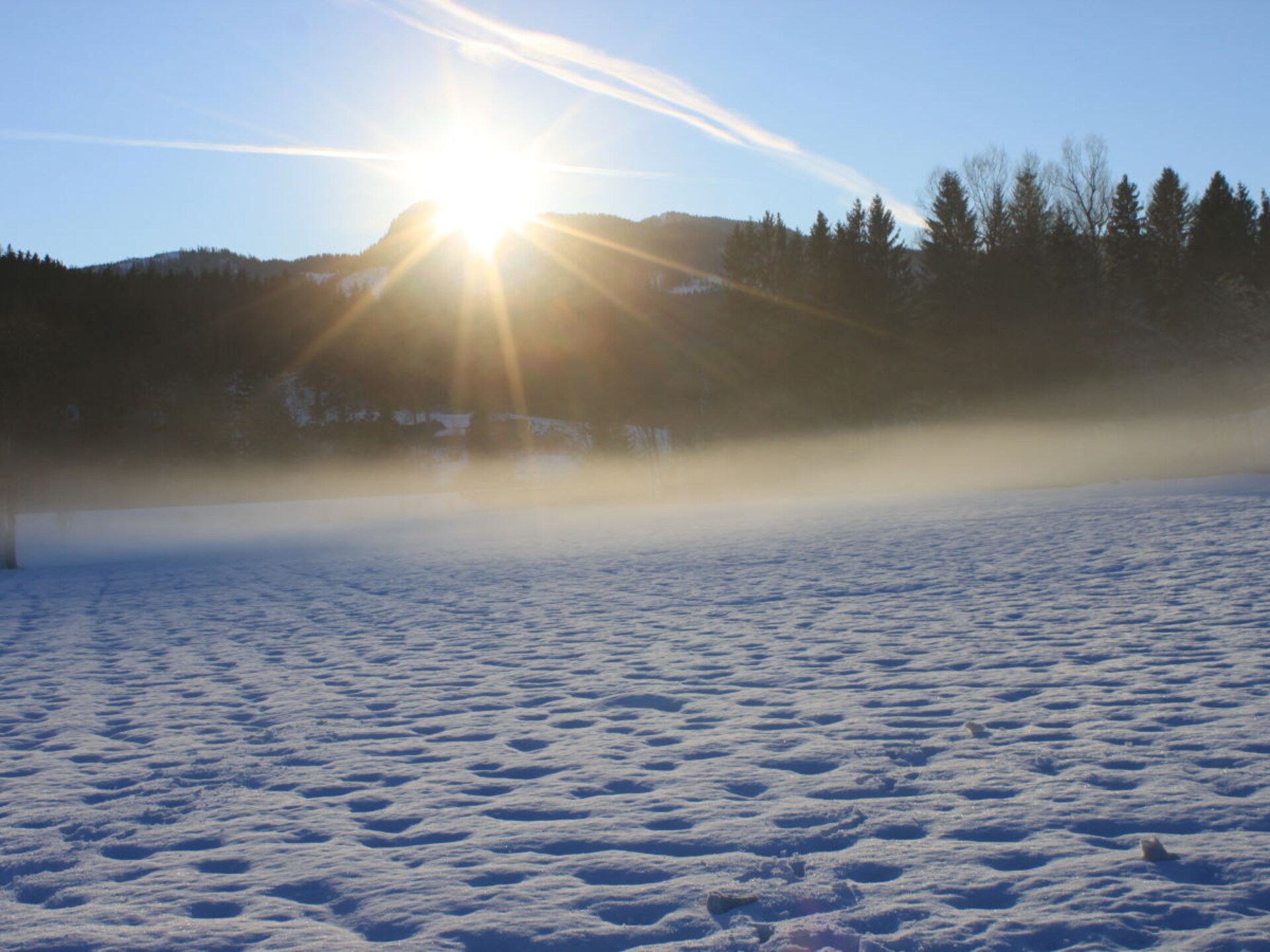 Ruim vakantiehuis voor 5 personen in Bad Mitterndorf, op 4 km van de skilift - foto 19