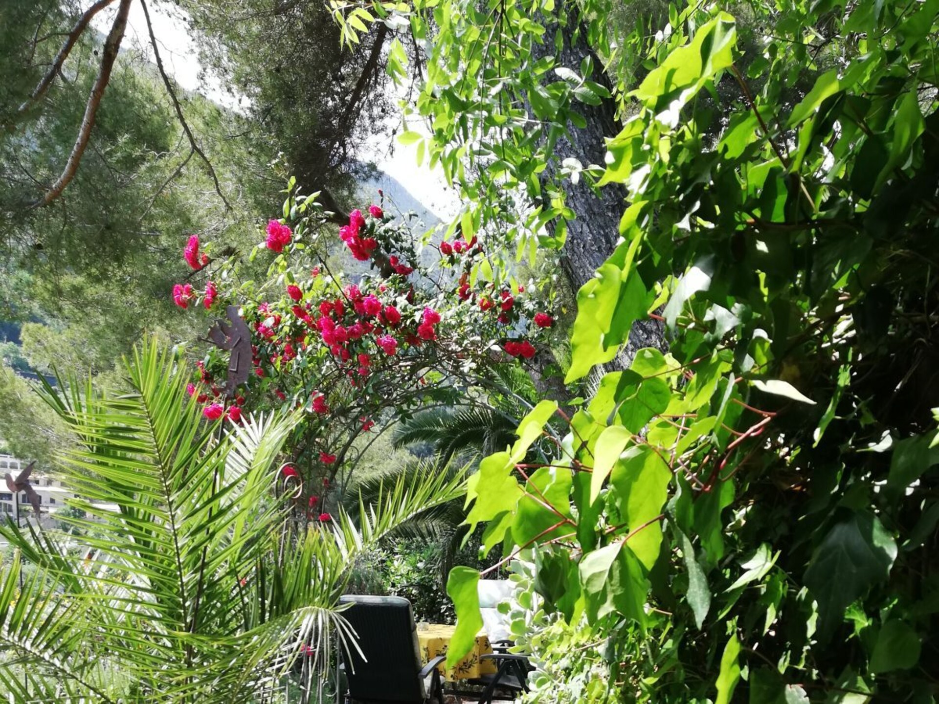Op 800m van het centrum: sfeervol vakantiehuis in Roquebrune-Cap Martin - foto 9