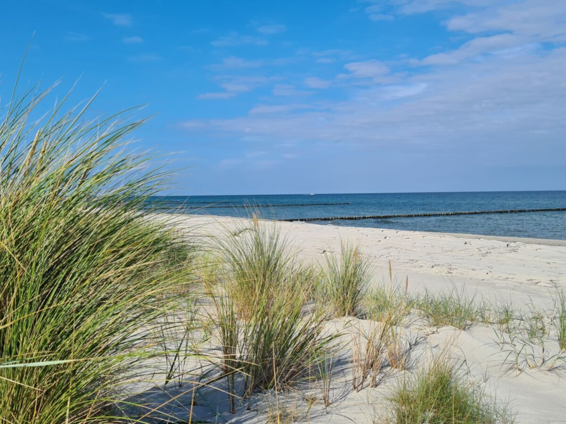 Vijfsterren vakantieappartement met sauna in hartje Zingst, 100m van centrum - foto 29
