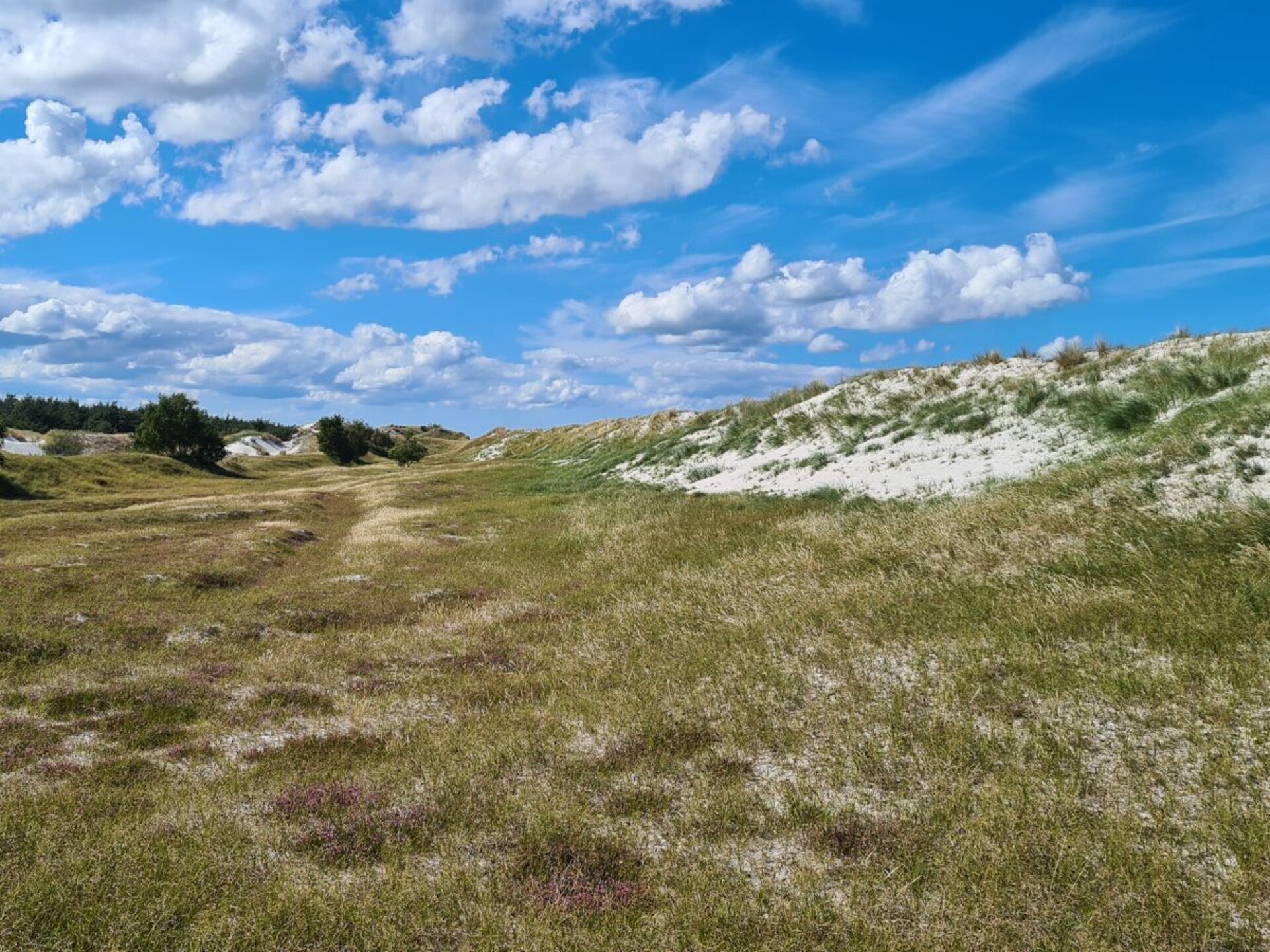Vijfsterren vakantieappartement met sauna in hartje Zingst, 100m van centrum - foto 30