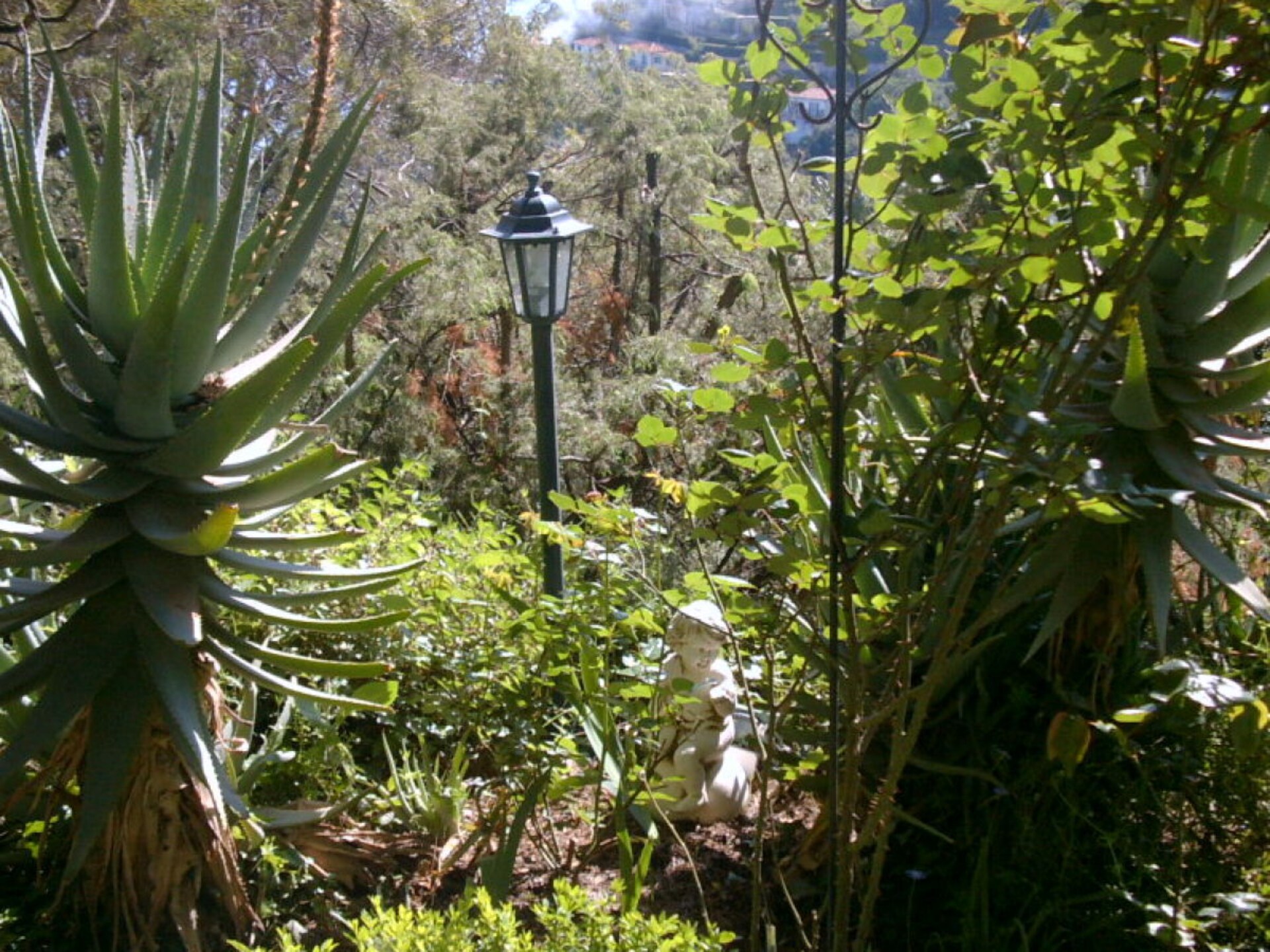 Provençaals zomerhuis met zeezicht en zonneterras in Roquebrune-Cap-Martin - foto 20