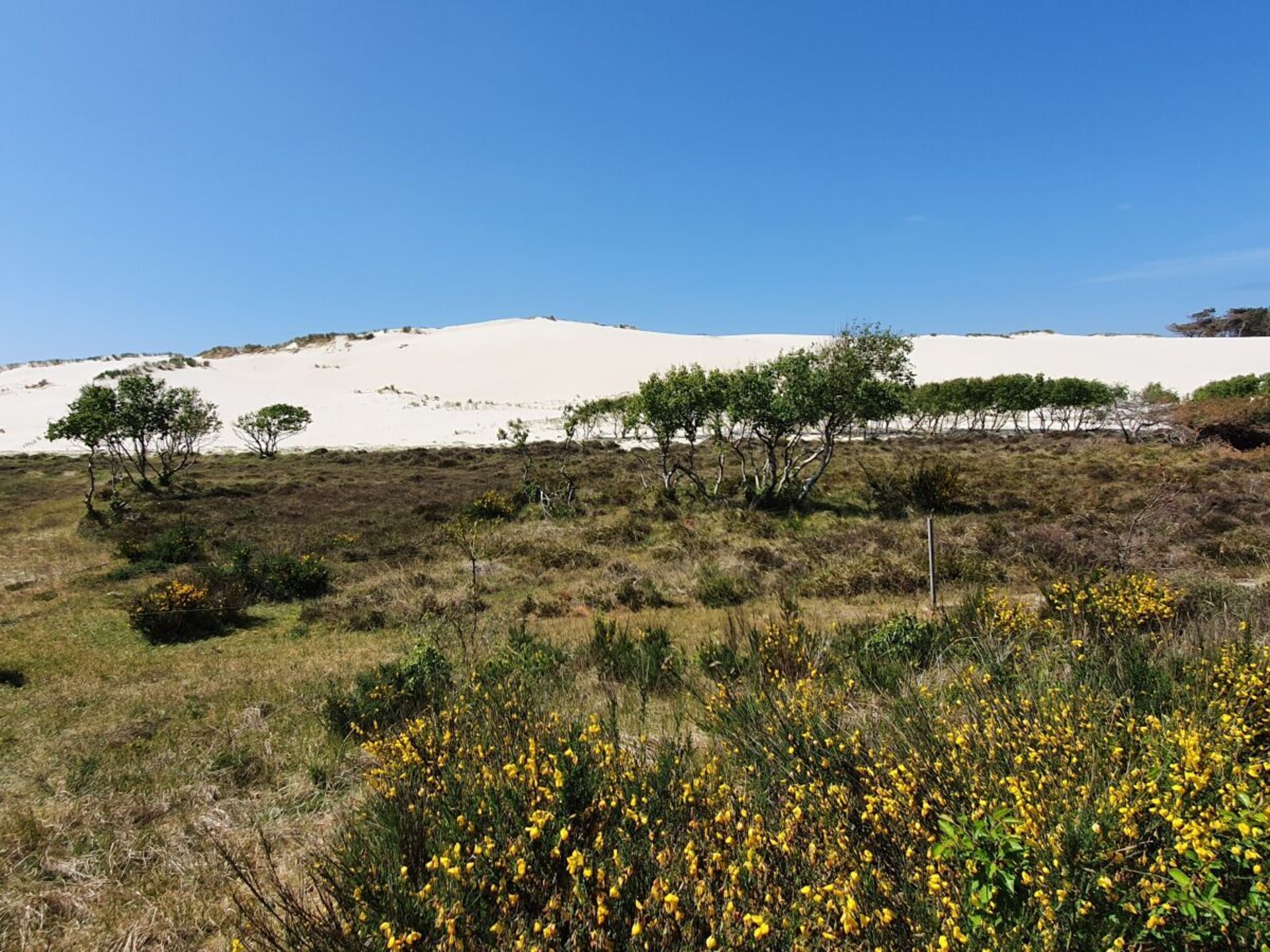Gezellig familiehuis op woonpark, op 1 km van strand en centrum Callantsoog - foto 22