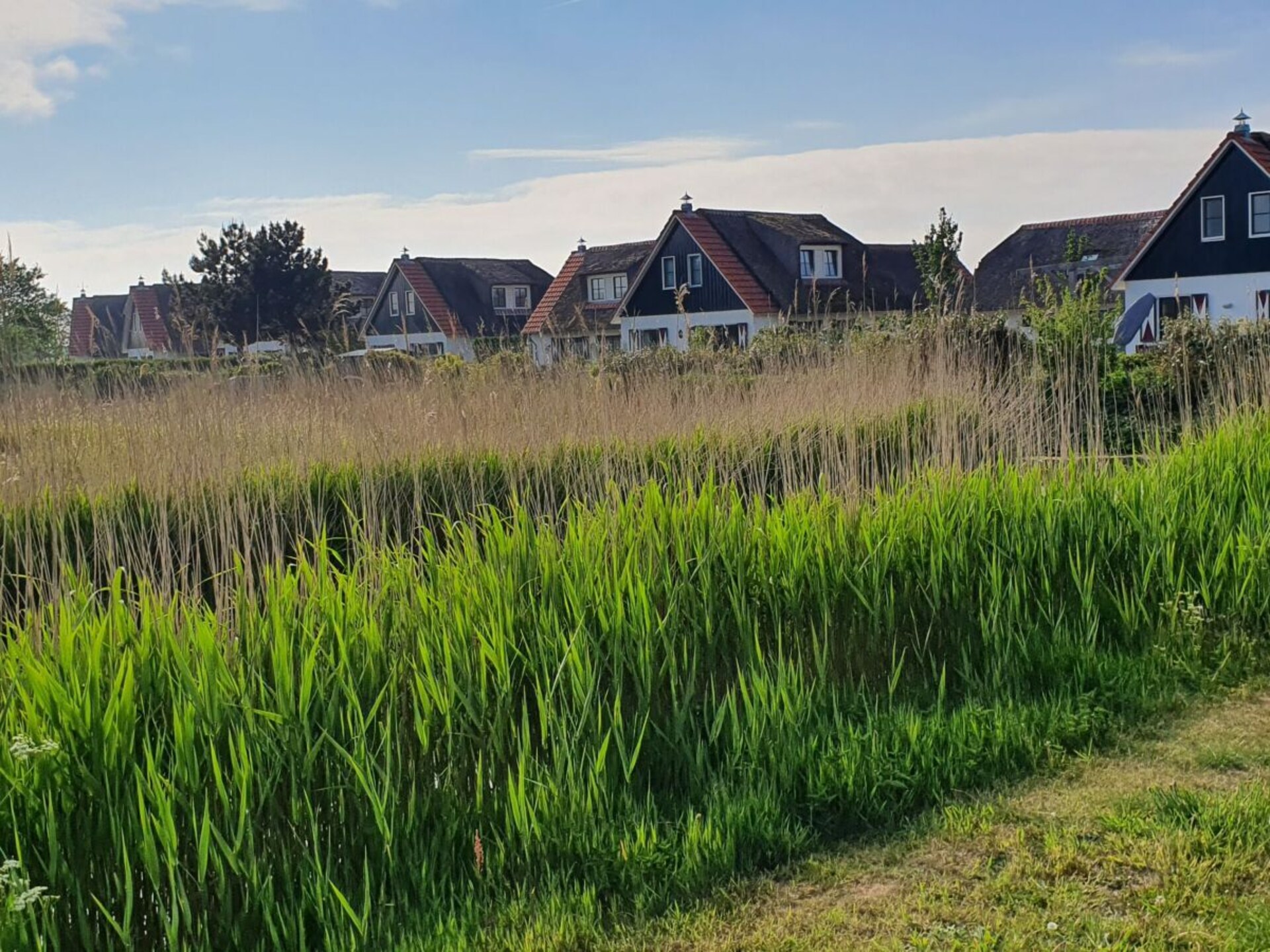 Gezellig familiehuis op woonpark, op 1 km van strand en centrum Callantsoog - foto 23