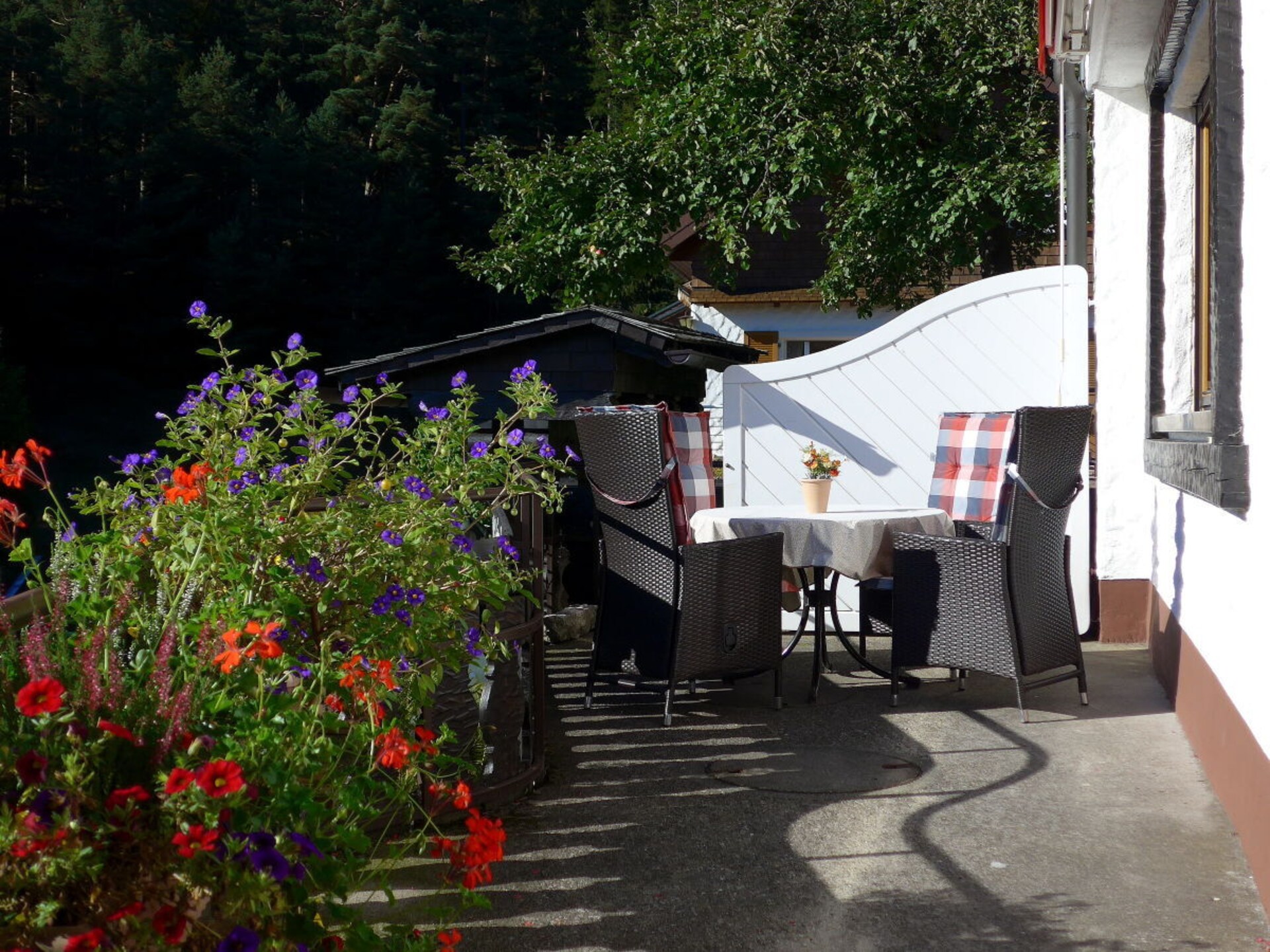 Zonnig vakantiehuis direct aan het bos in Baiersbronn-Mitteltal - foto 9