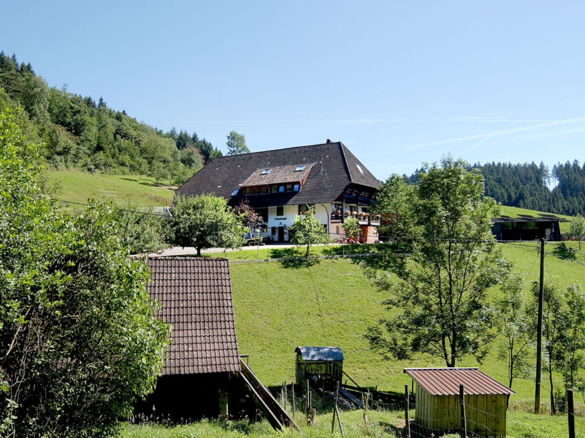 Ruim appartement in Schenkenzell met balkon en uitzicht op het Zwarte Woud - foto 1