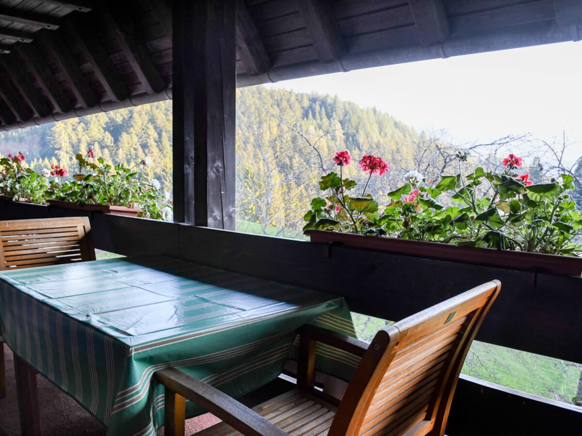Ruim appartement in Schenkenzell met balkon en uitzicht op het Zwarte Woud - foto 16
