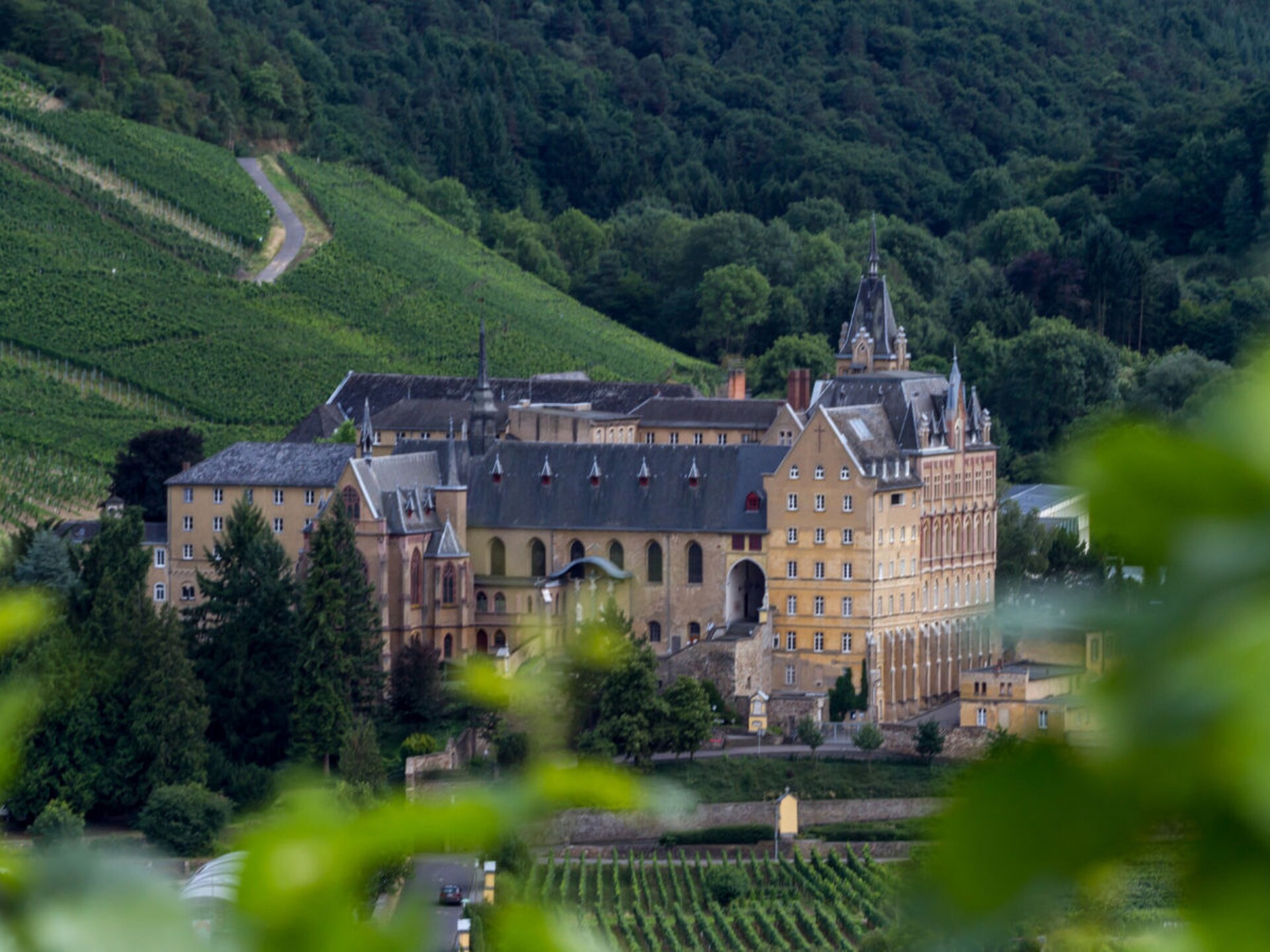 Licht en knus appartement met eigen terras in Ahrweiler - foto 18