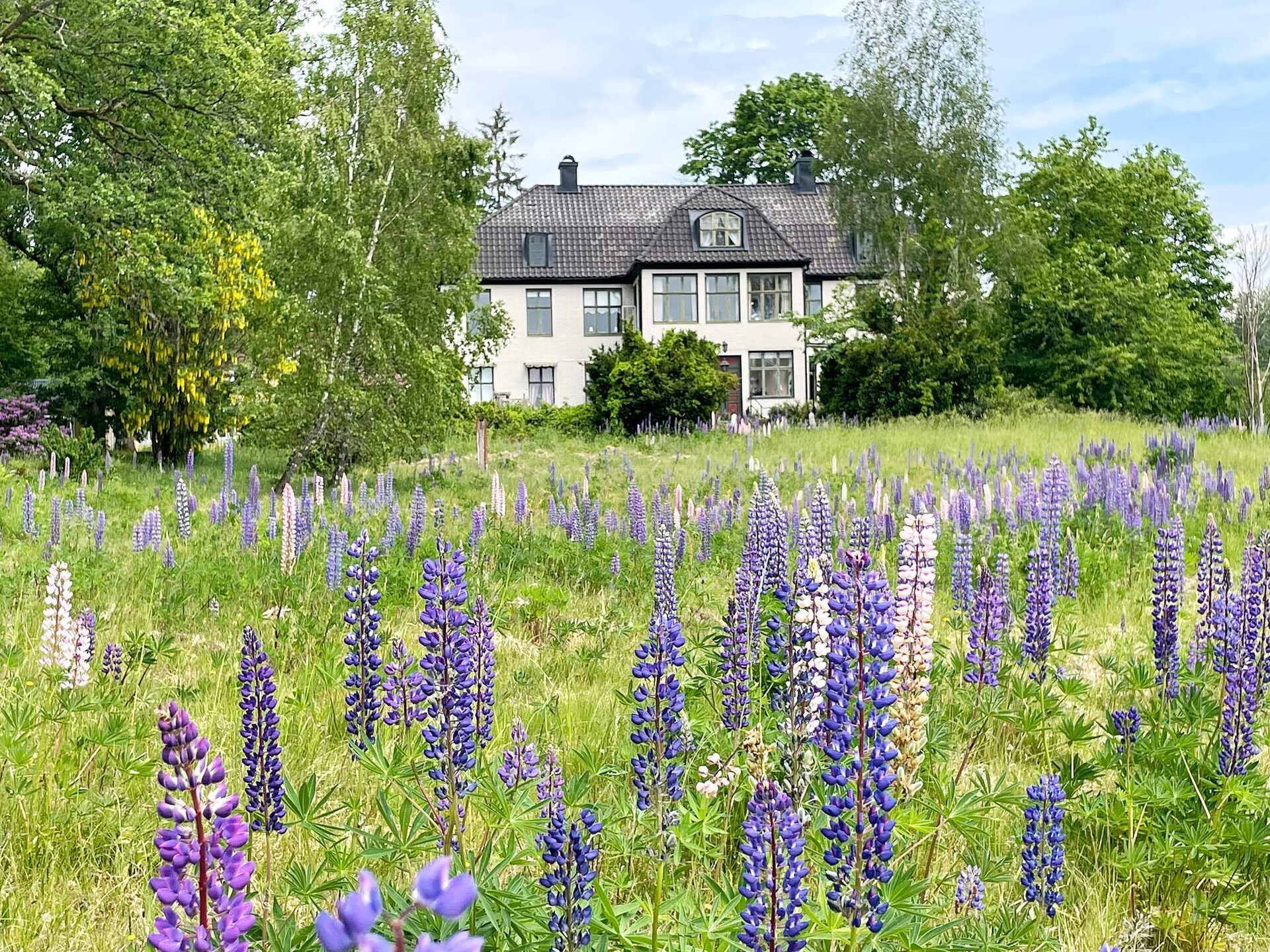 Historisch vakantiehuis voor 21 personen aan de golf in Blekinge, Zweden - foto 2