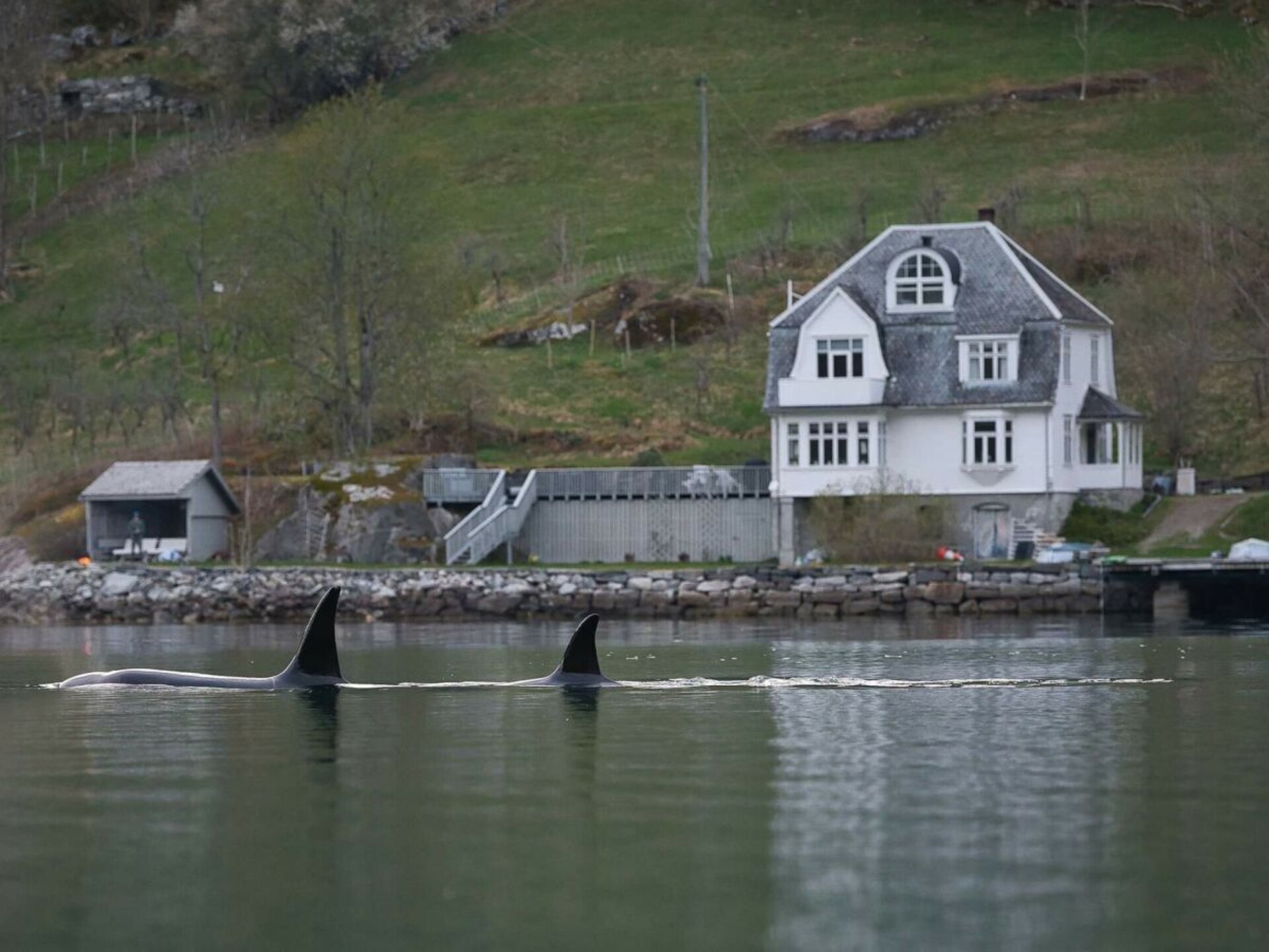 Romantisch vakantiehuis voor 6 aan de Hardangerfjord in Ulvik - foto 11