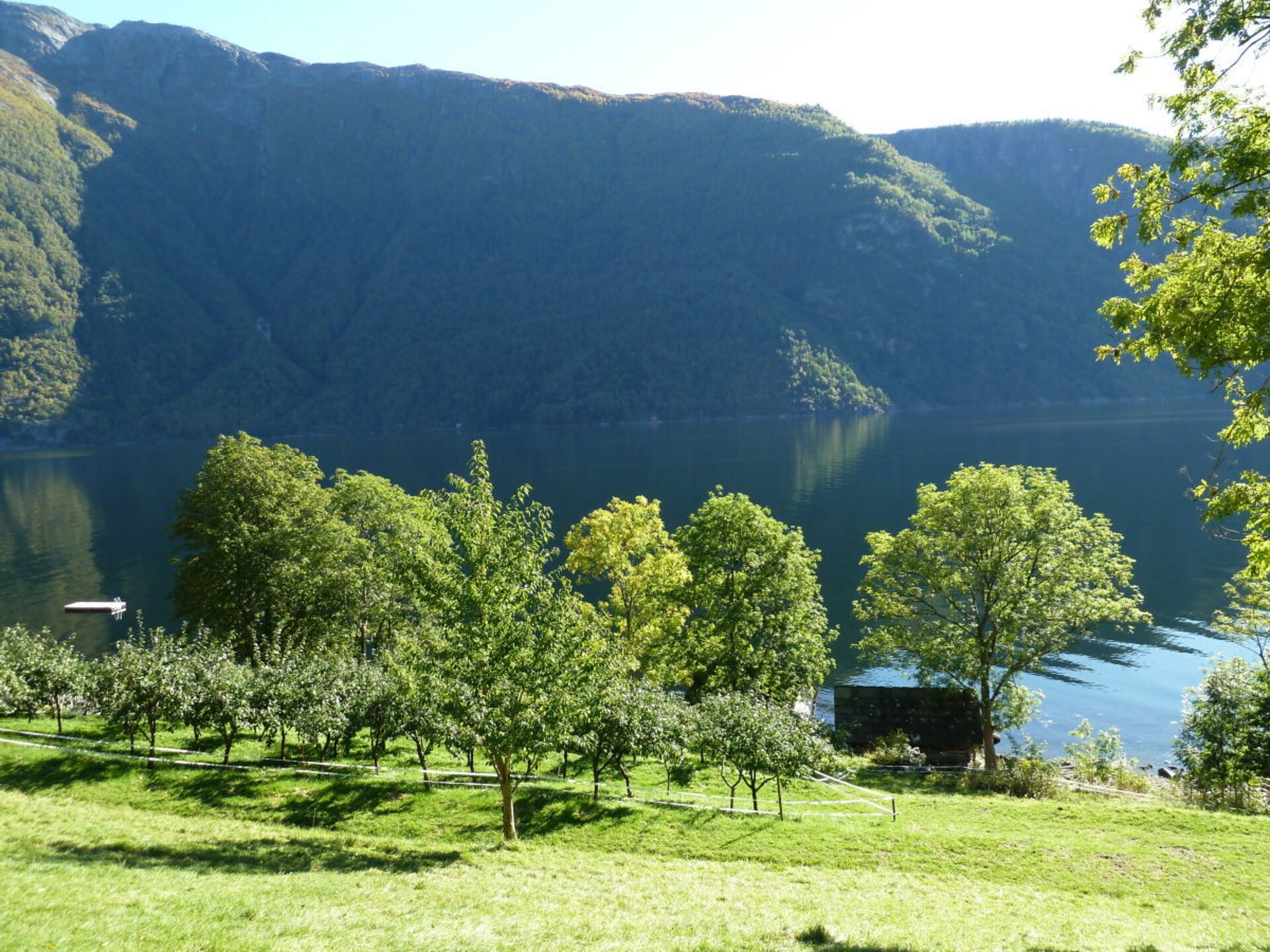 Romantisch vakantiehuis voor 6 aan de Hardangerfjord in Ulvik - foto 27