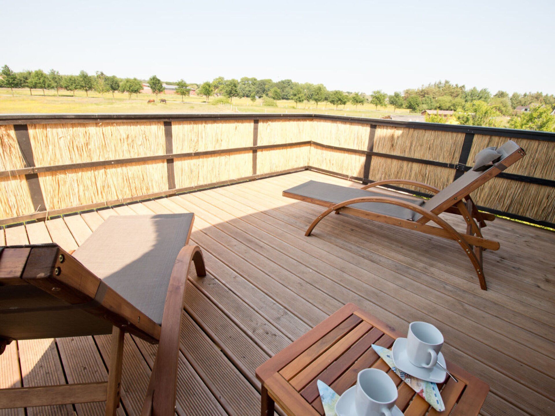 Ecologisch vakantiehuis Born met sauna, dakterras en eigen kippen voor 8 personen - foto 21
