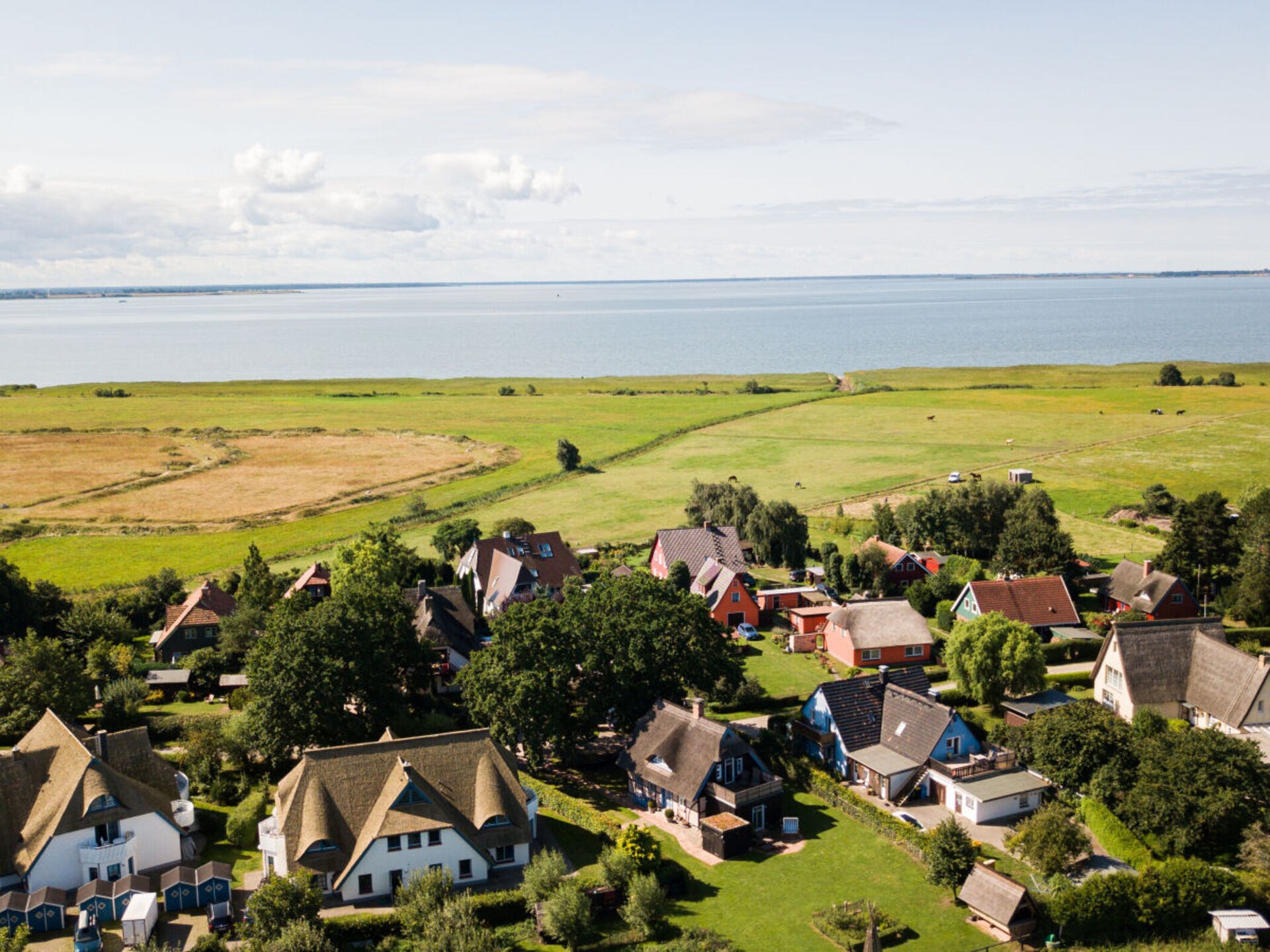 Ecologisch vakantiehuis Born met sauna, dakterras en eigen kippen voor 8 personen - foto 26