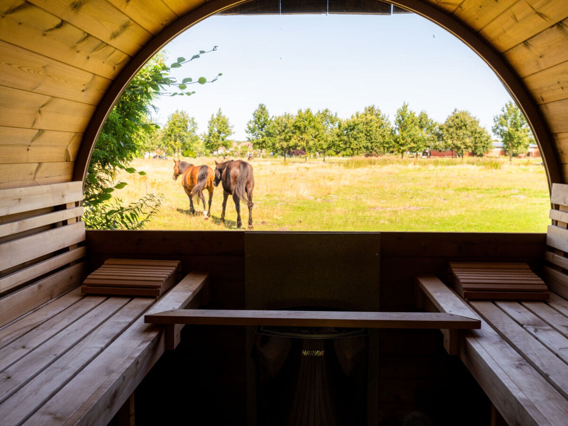 Ecologisch vakantiehuis Born met sauna, dakterras en eigen kippen voor 8 personen - foto 31