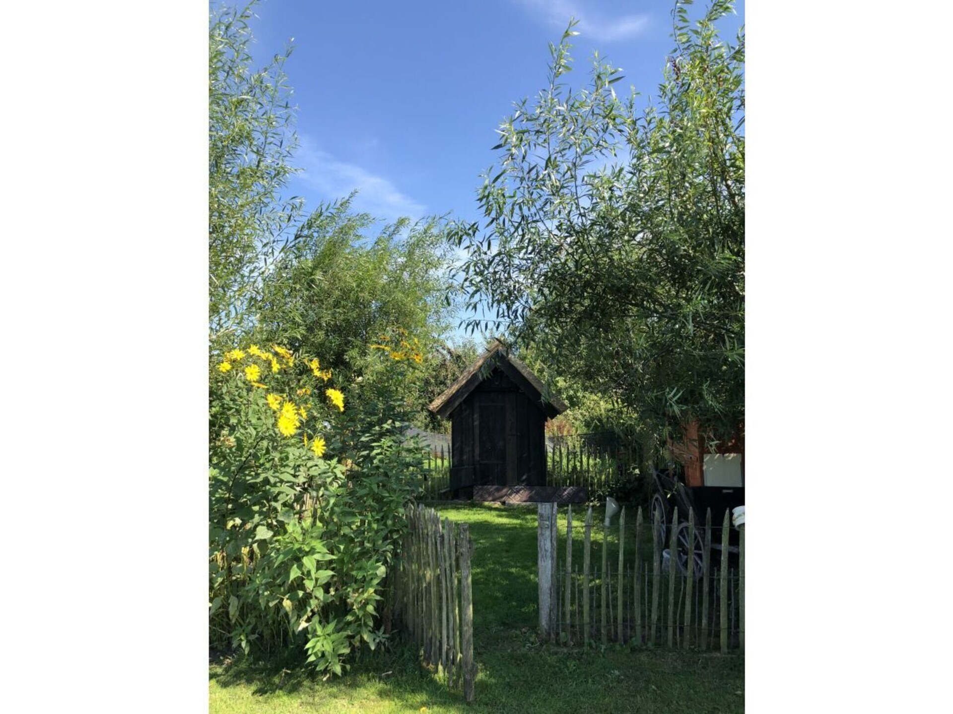 Ecologisch vakantiehuis Born met sauna, dakterras en eigen kippen voor 8 personen - foto 23