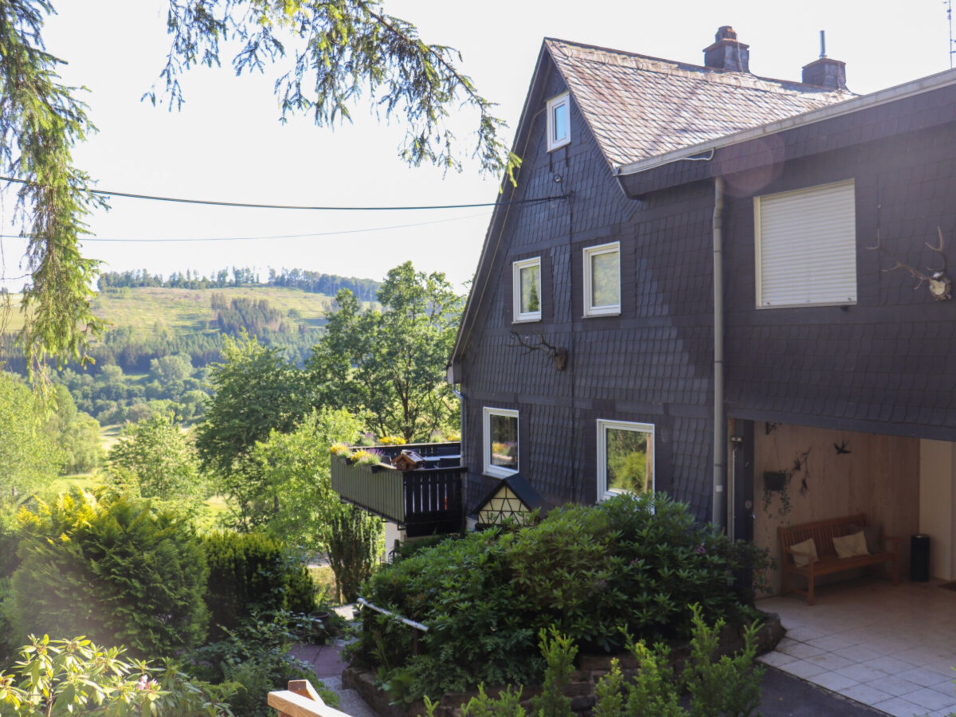 Ruim vrijstaand vakantiehuis met sauna en grote tuin bij Willingen - foto 1