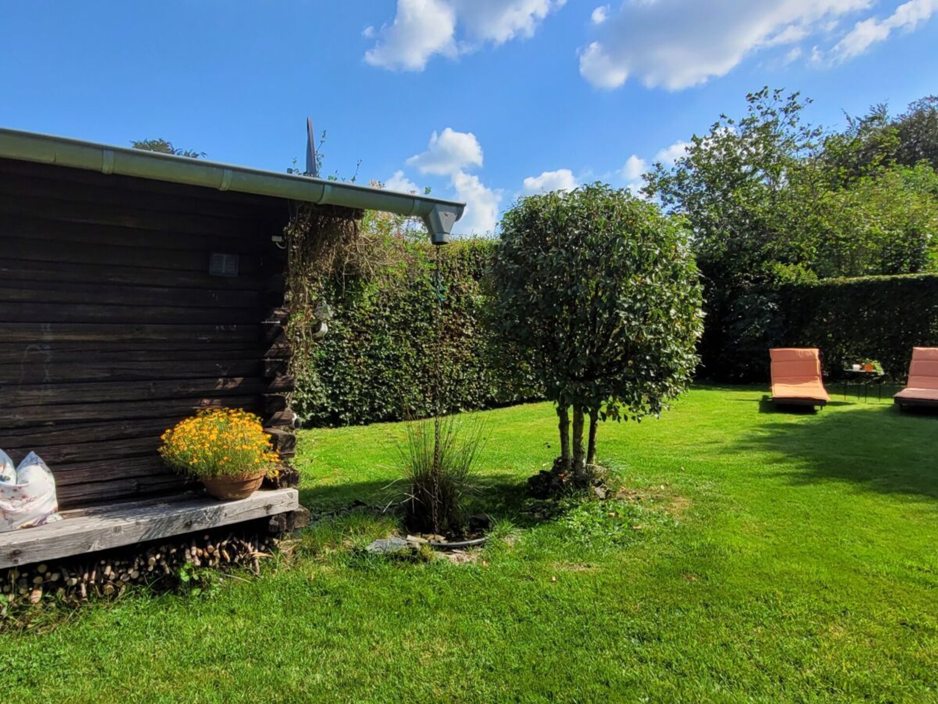 Knus vakantiehuis in Monschau met omheinde tuin, hond welkom - foto 7