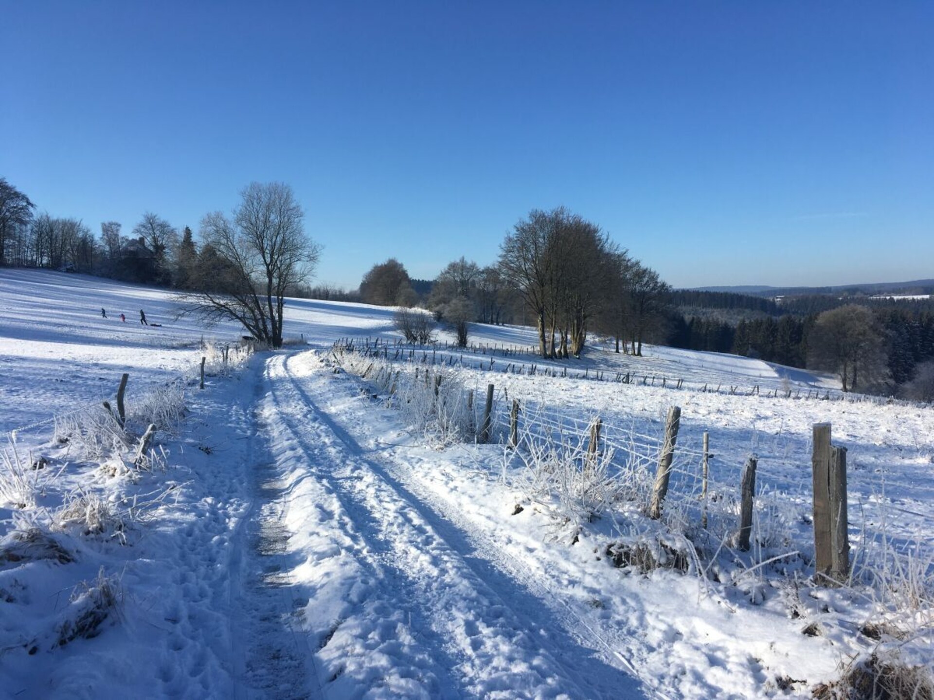Knus vakantiehuis in Monschau met omheinde tuin, hond welkom - foto 38