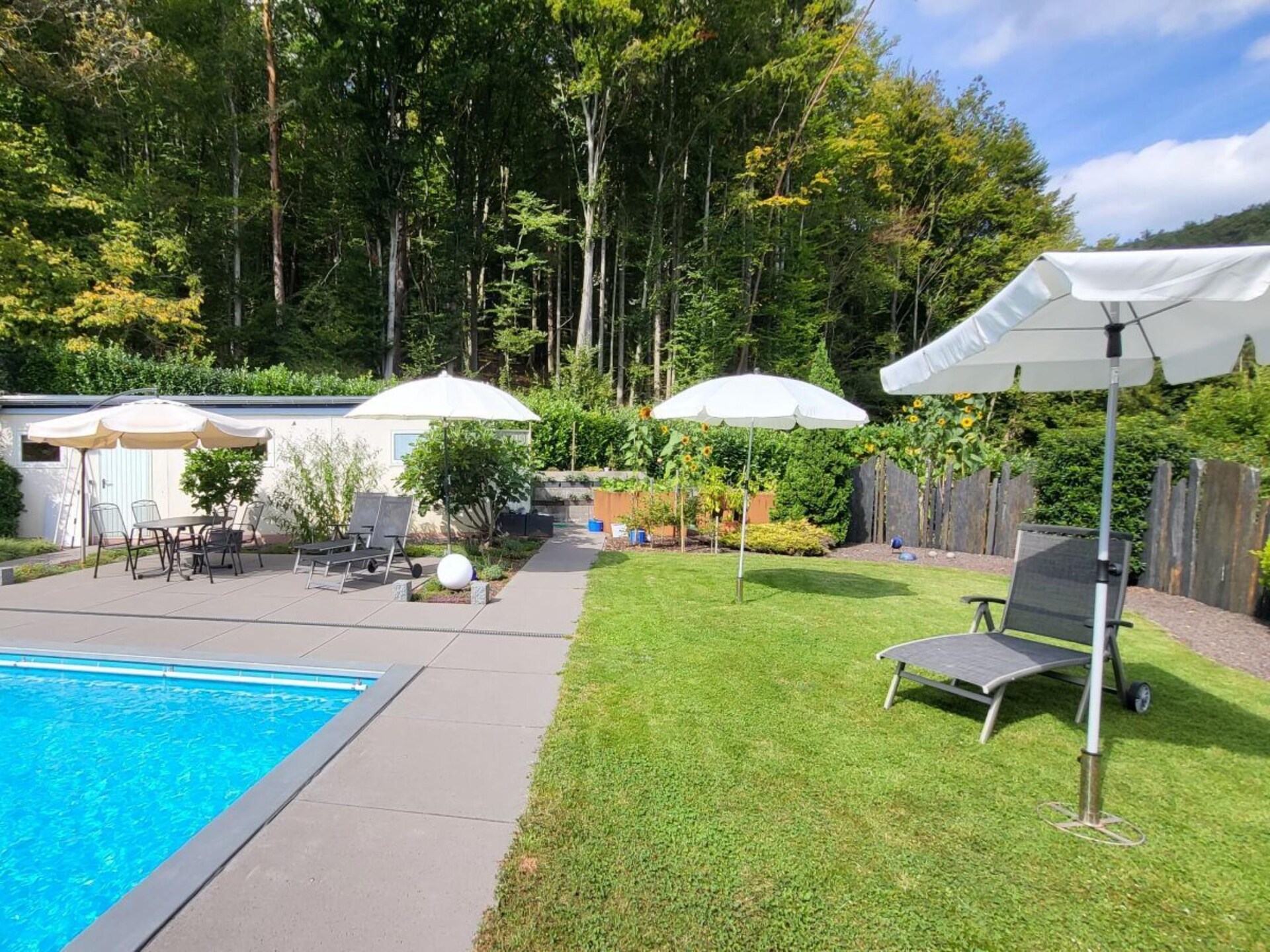 Vakantiehuis met zwembad aan de bosrand in Silz, Pfalz - foto 5