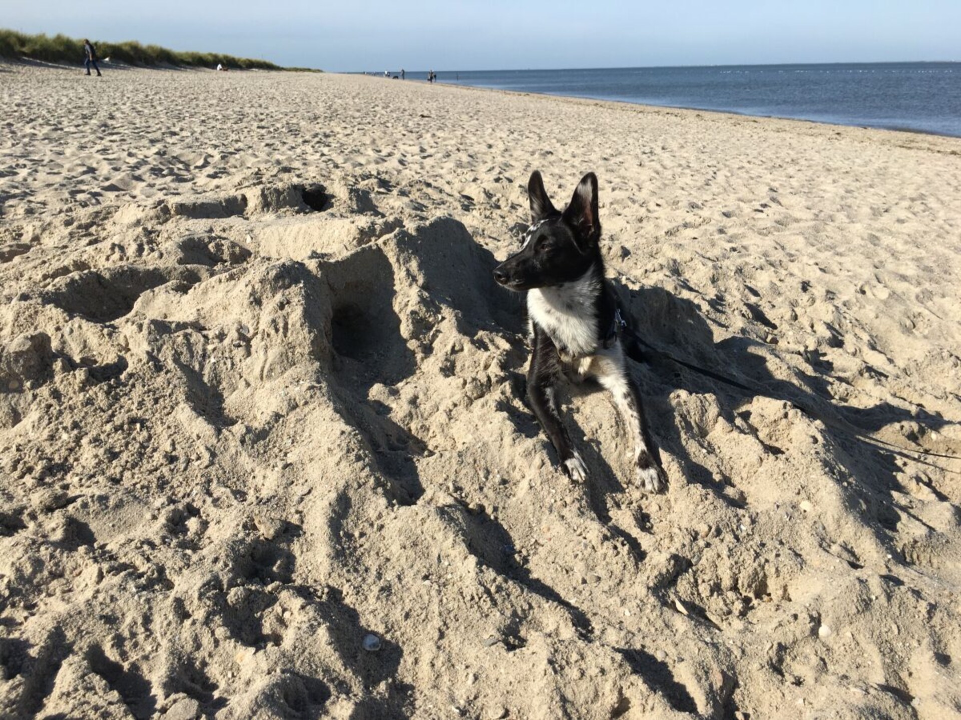 Romantisch Fries huisje aan de dijk bij Horumersiel, vlakbij strand - foto 20