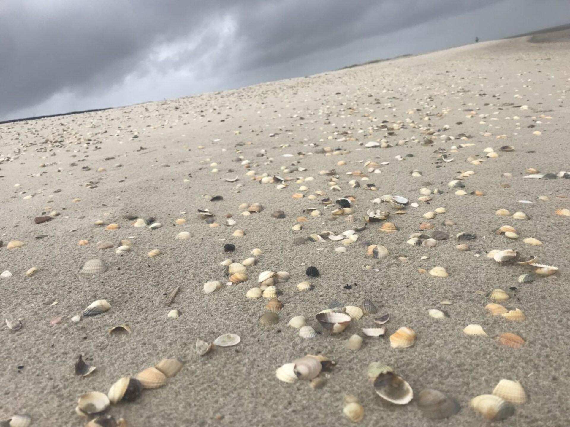 Romantisch Fries huisje aan de dijk bij Horumersiel, vlakbij strand - foto 21