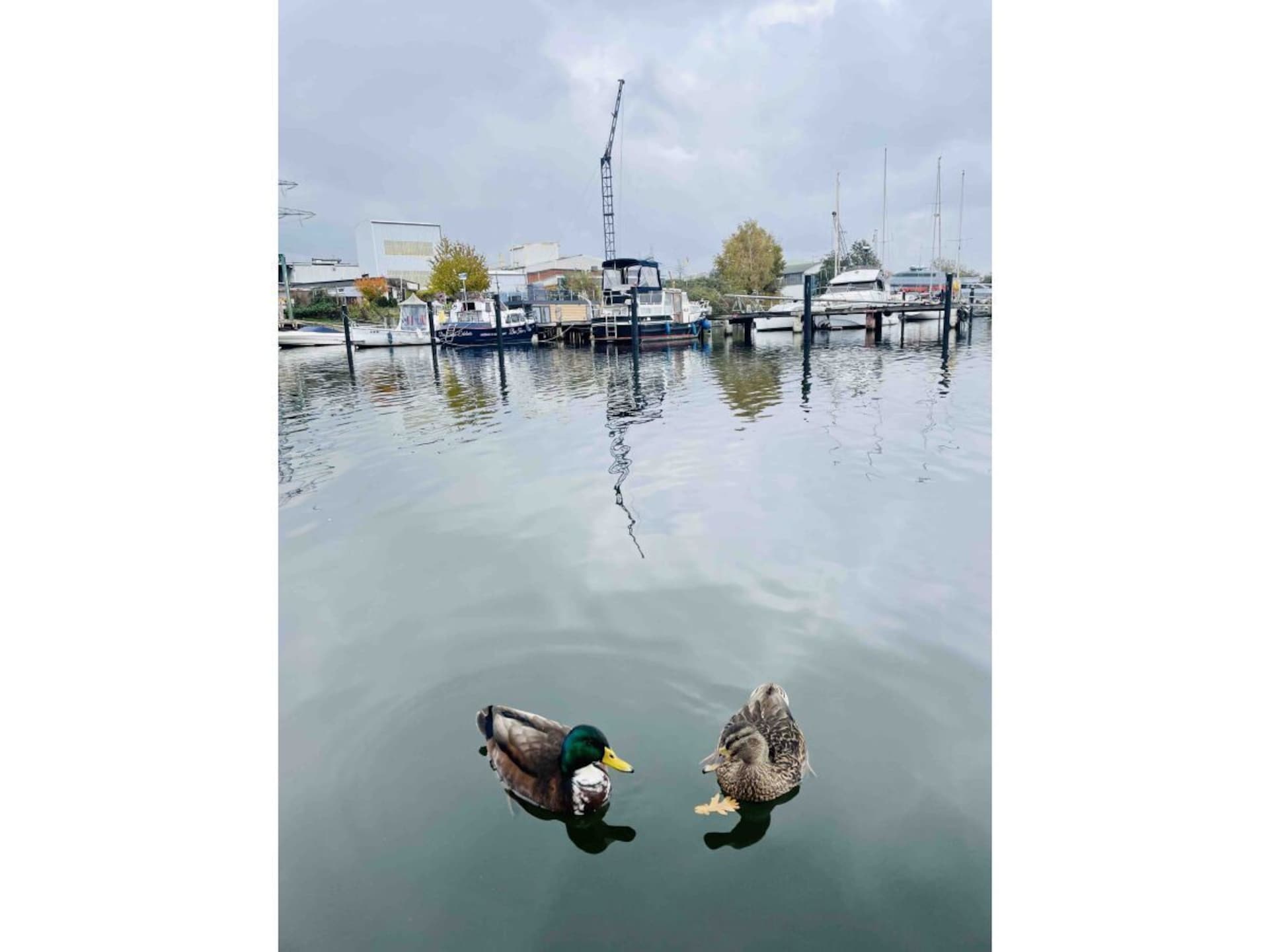 Sfeervolle woonboot in Lübeck voor 4 personen aan de Trave - foto 14