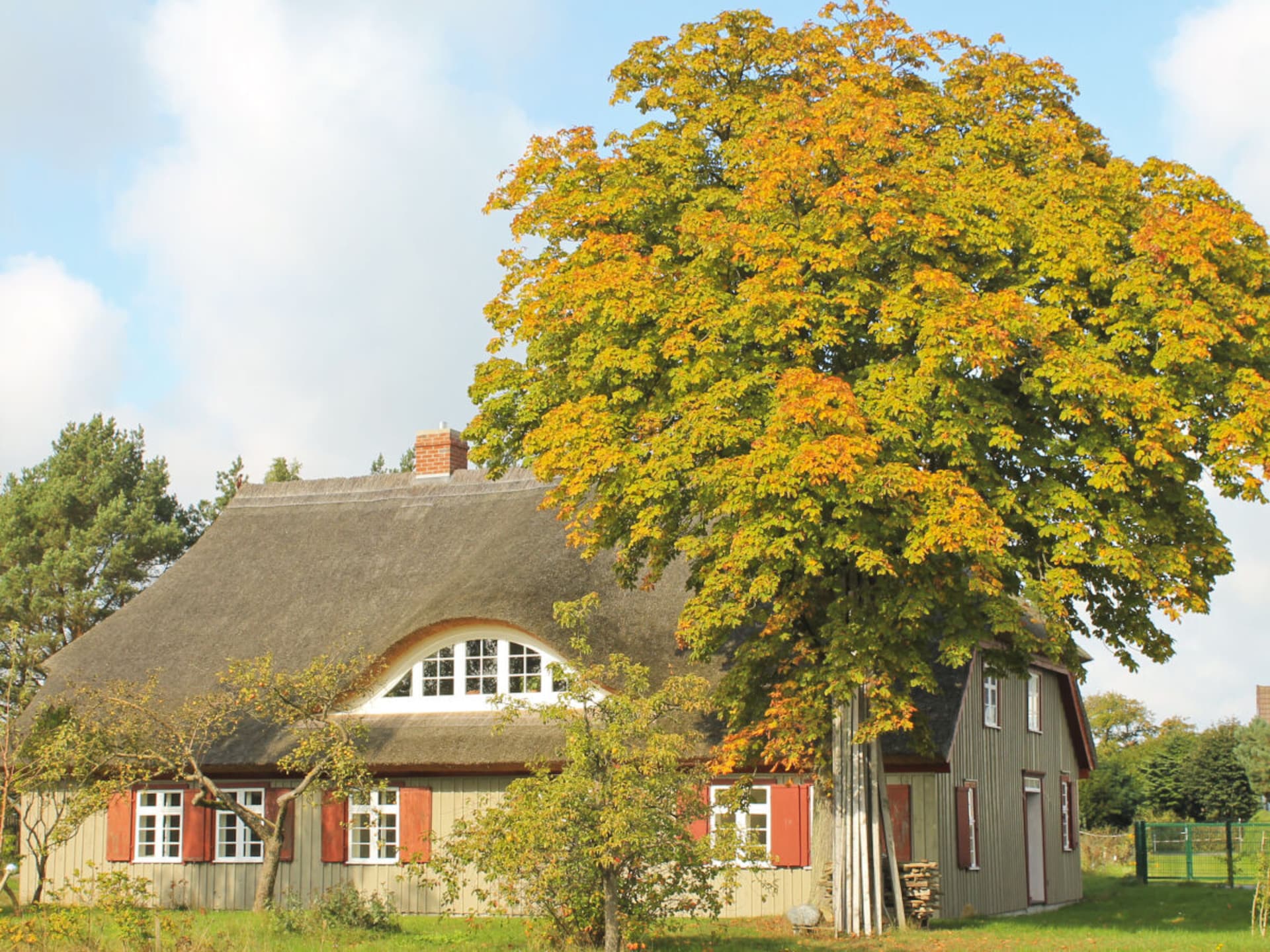 Stijlvol Scandinavisch vakantiehuis voor 8 personen in Wieck a. Darß - foto 22