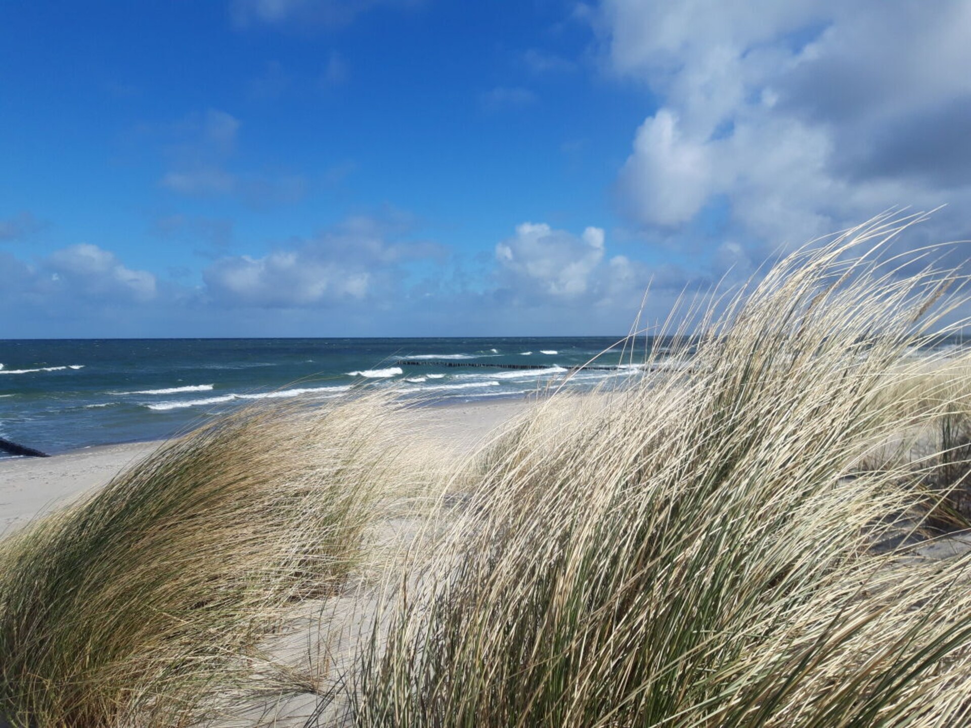 Licht appartement op 110 meter van strand in Zingst met balkon & open haard - foto 28