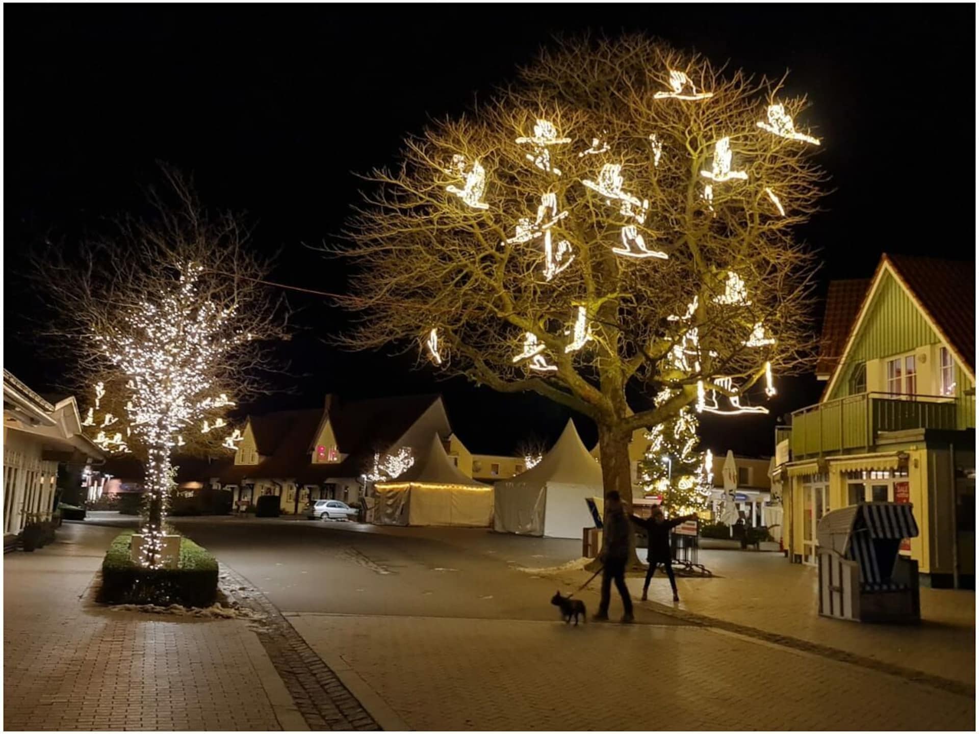 Licht appartement op 110 meter van strand in Zingst met balkon & open haard - foto 38