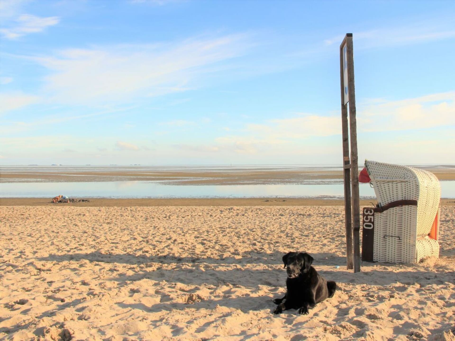 Rieten dak idylle nabij strand en centrum Nieblum voor 6 personen - foto 33