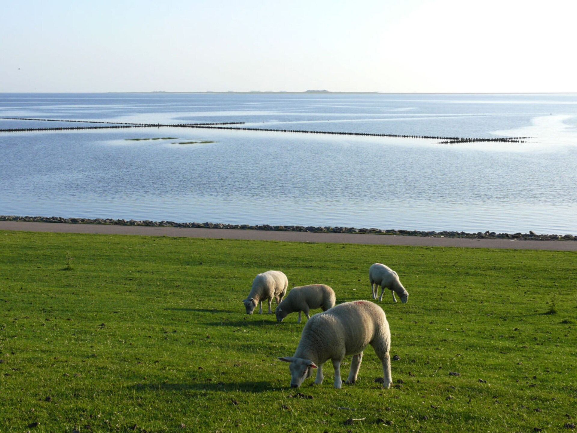 Knus vakantiehuis voor 2 aan de Waddenzee in Dagebüll - foto 19