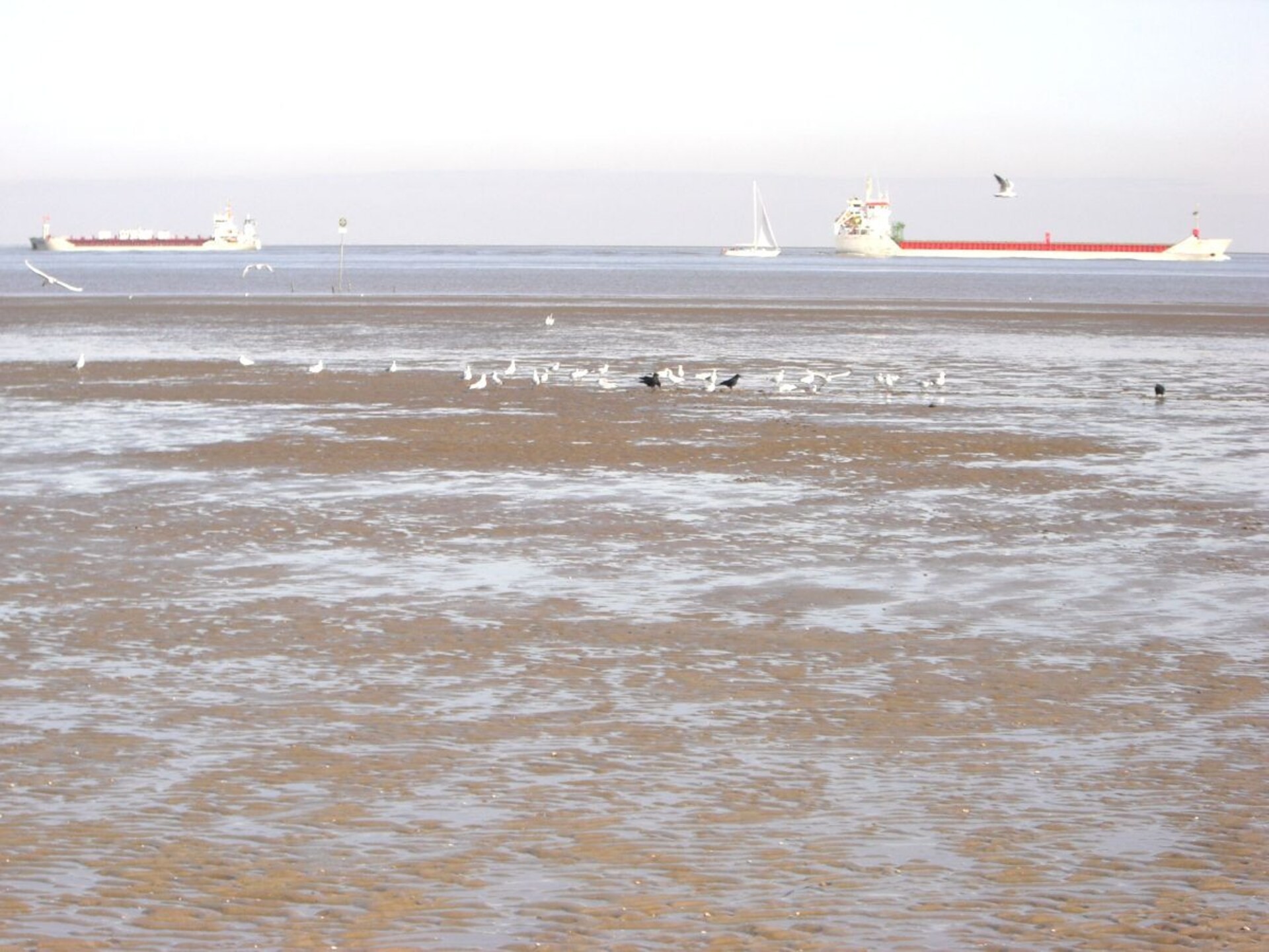Vakantiehuis in Otterndorf: 300m van de Waddenzee, 4 personen - foto 17