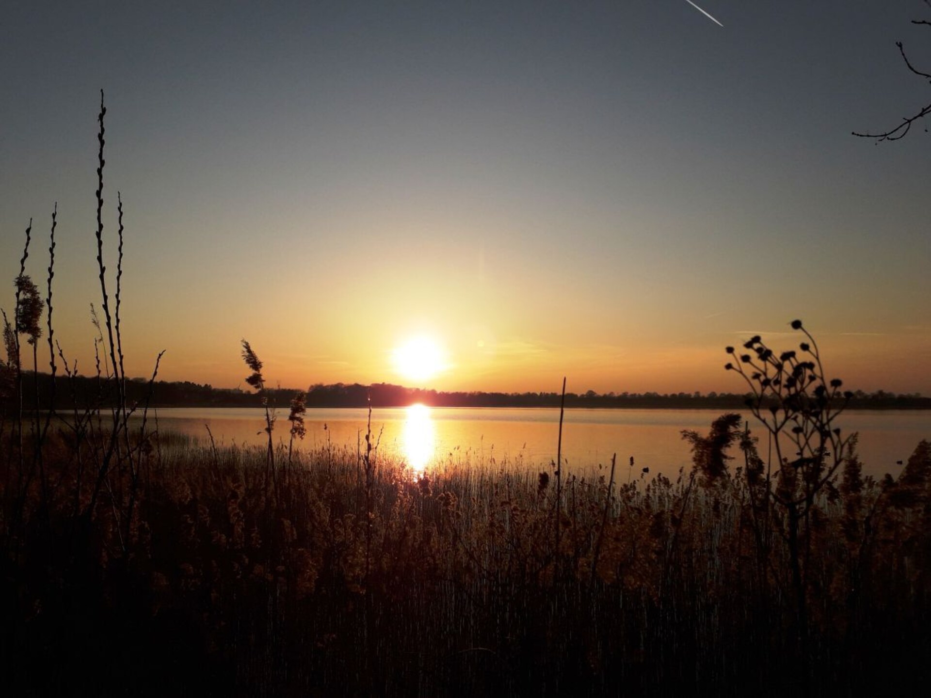 Hondvriendelijk vakantiehuis aan de bosrand in Scharbeutz - foto 20