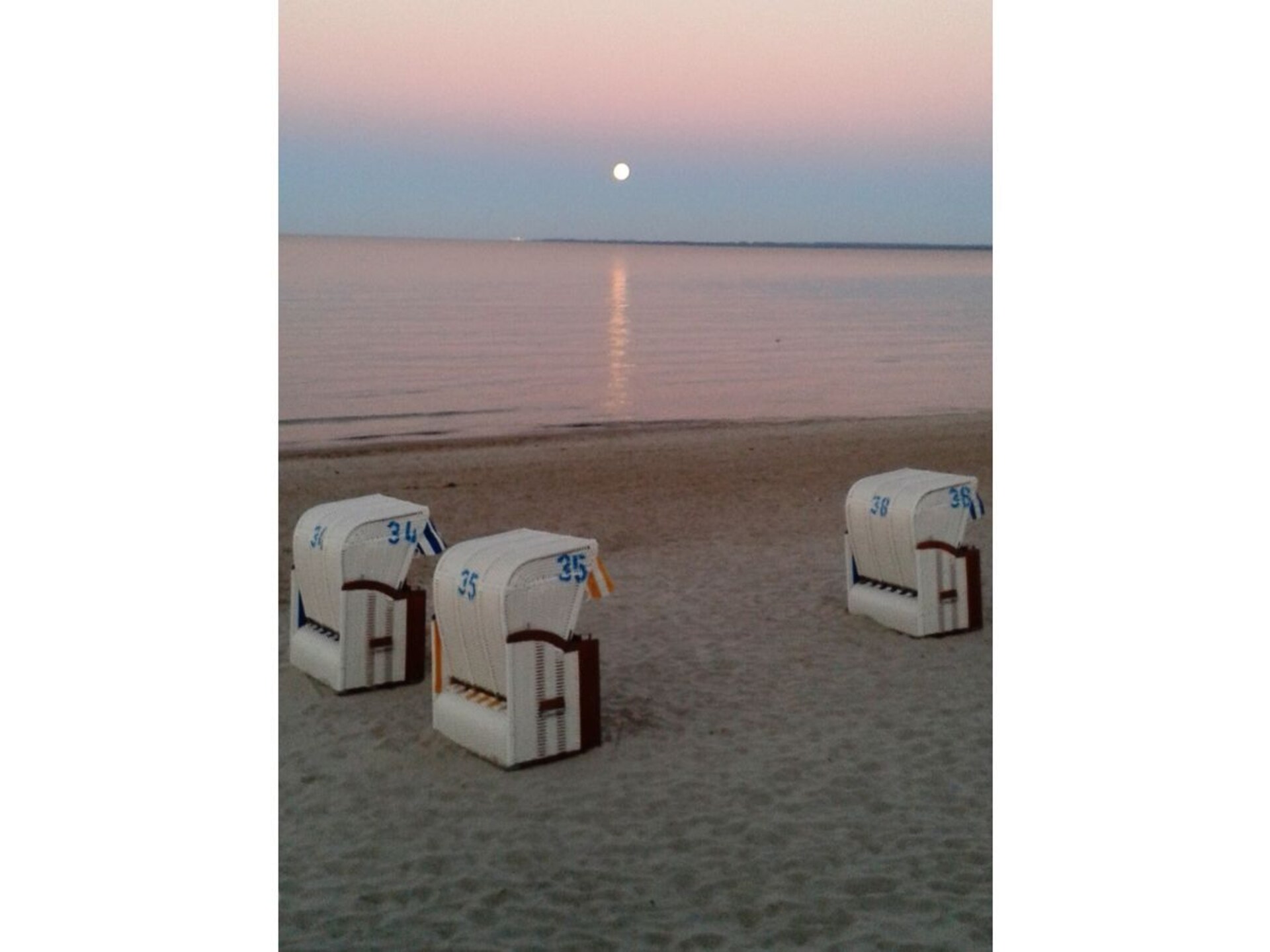 Hondvriendelijk vakantiehuis aan de bosrand in Scharbeutz - foto 28
