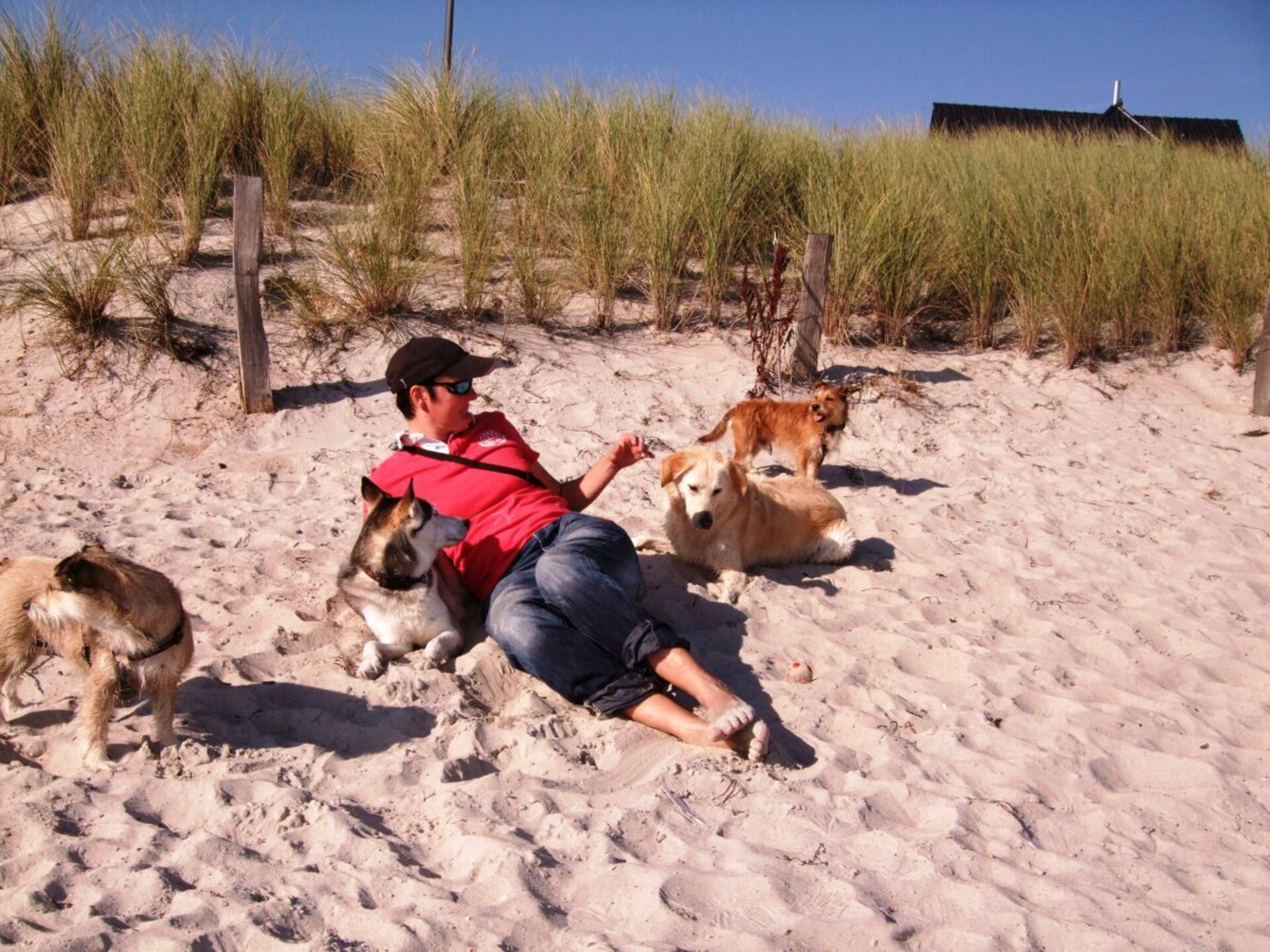 Hondvriendelijk vakantiehuis aan de bosrand in Scharbeutz - foto 29