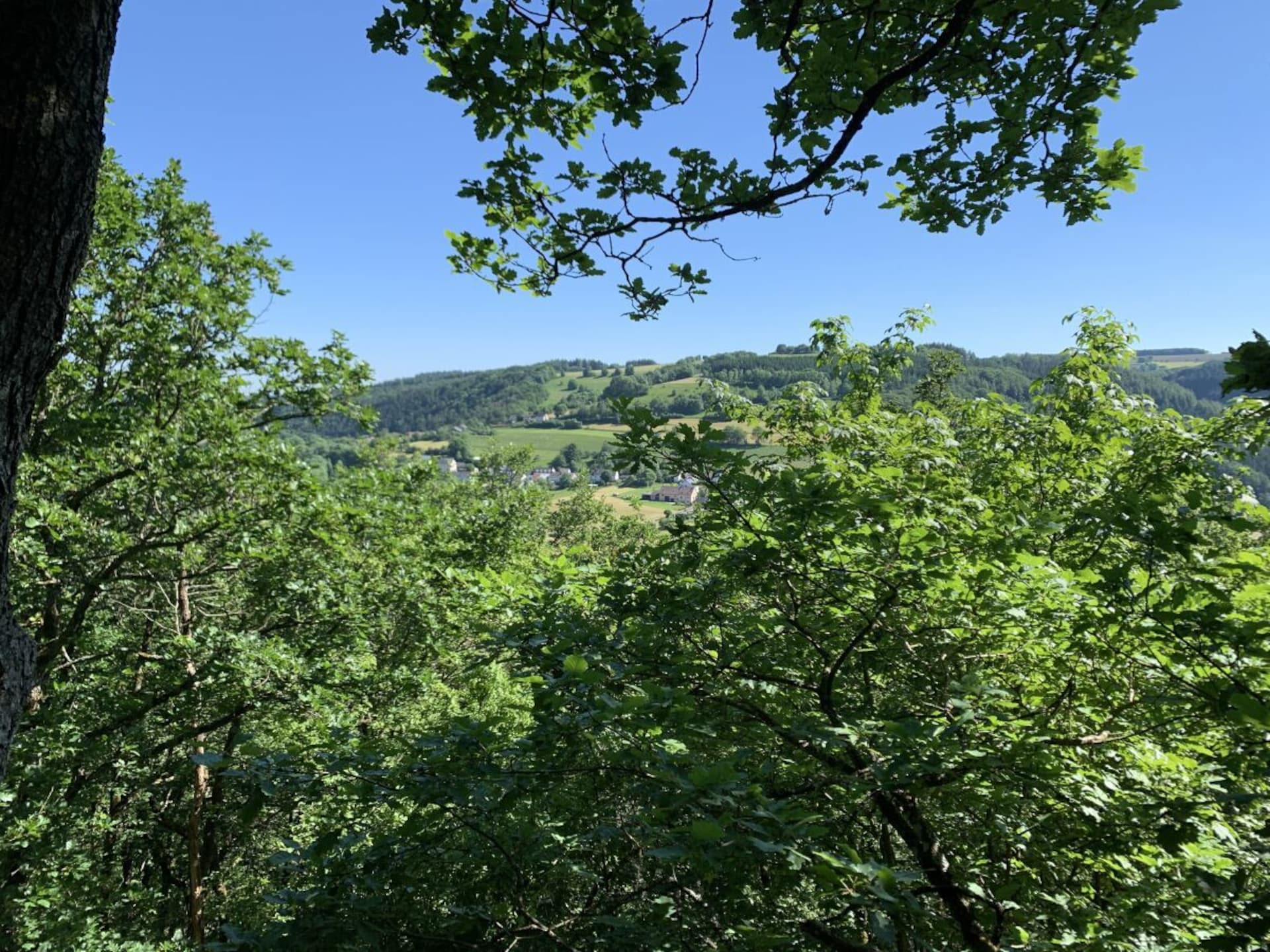 Knus chalet voor 6 op een afgelegen perceel in de Eifel nabij Lambertsberg - foto 39