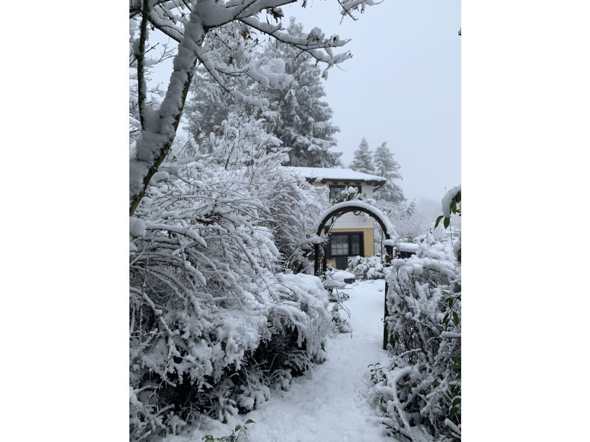 Knus chalet voor 6 op een afgelegen perceel in de Eifel nabij Lambertsberg - foto 4