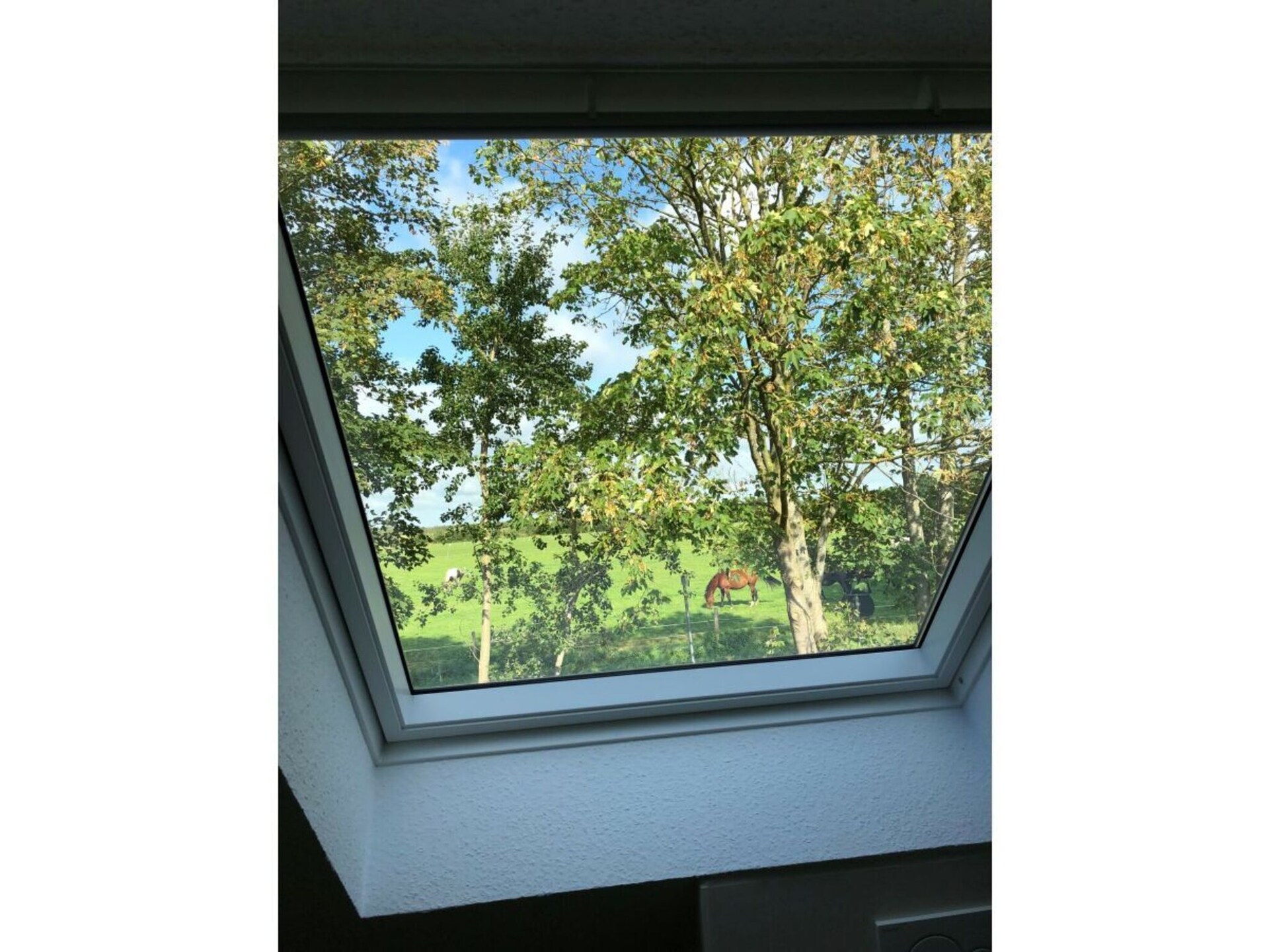 Modern vakantiehuis voor 6 met sauna en zwemplezier bij Aurich - foto 41